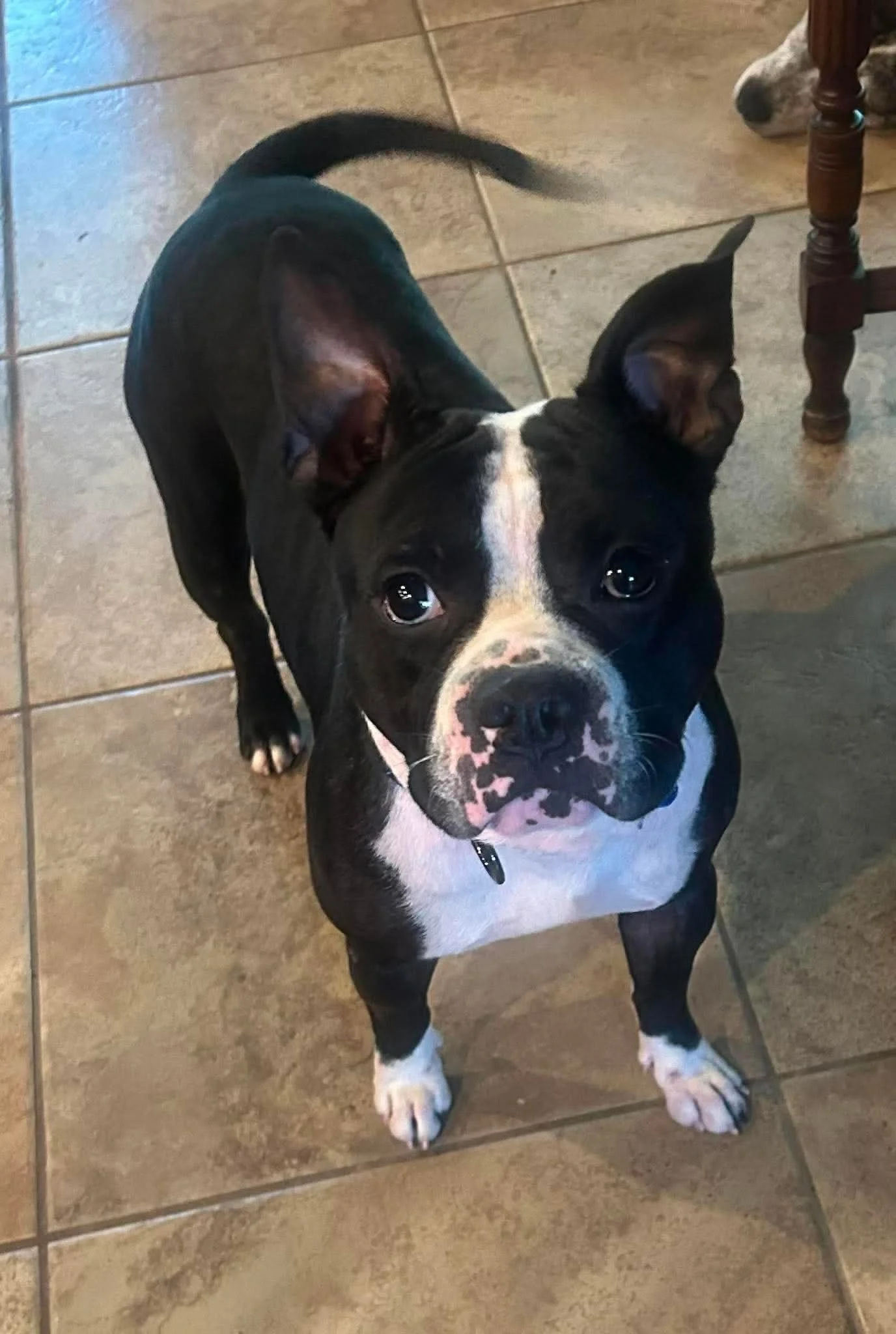 Emmitt