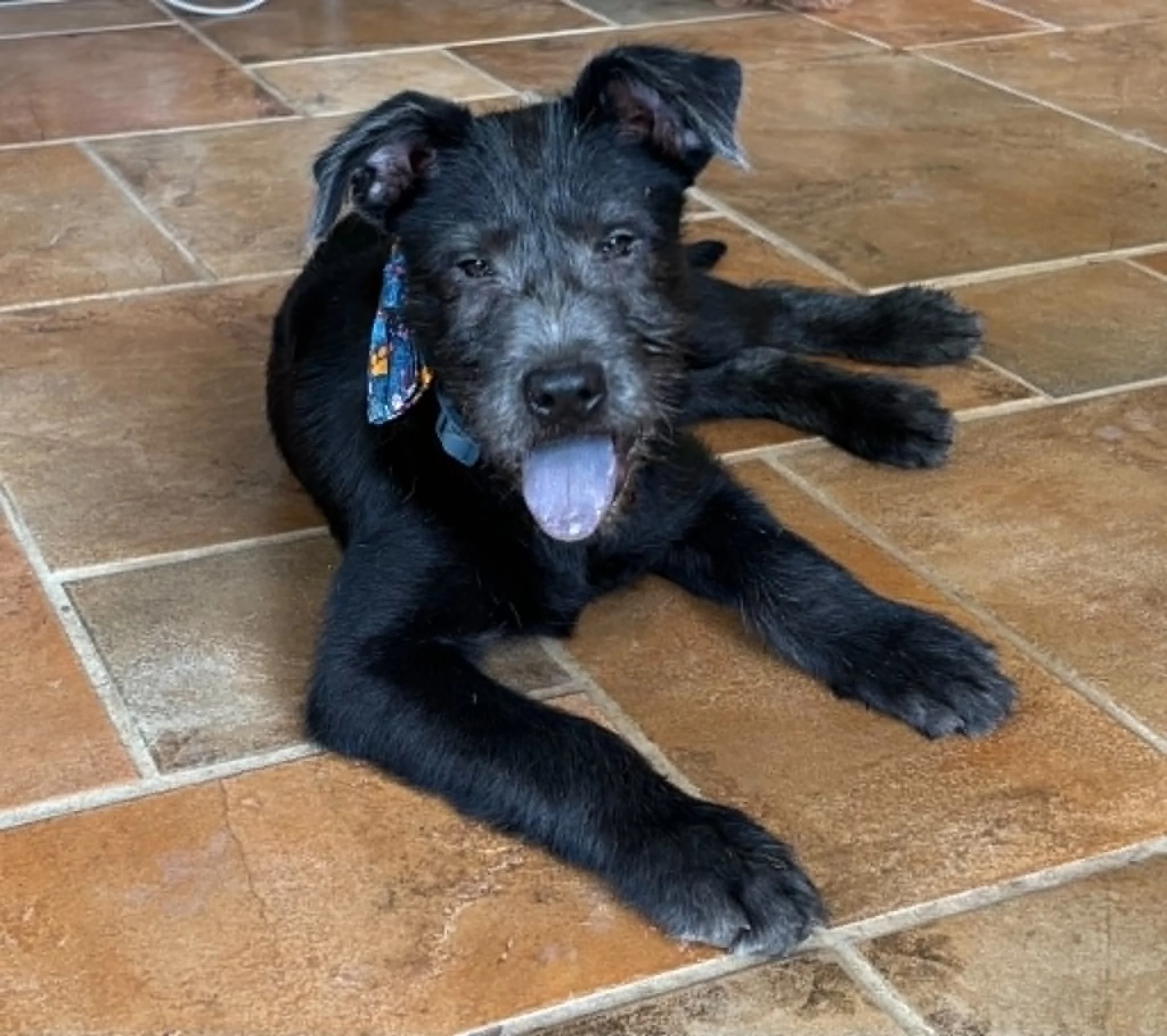 Archibald (Archie)