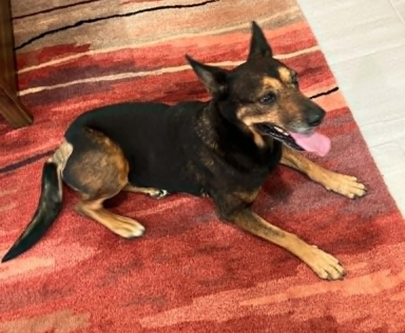 Maggie