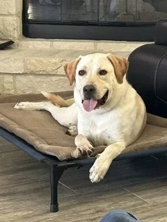 Roscoe