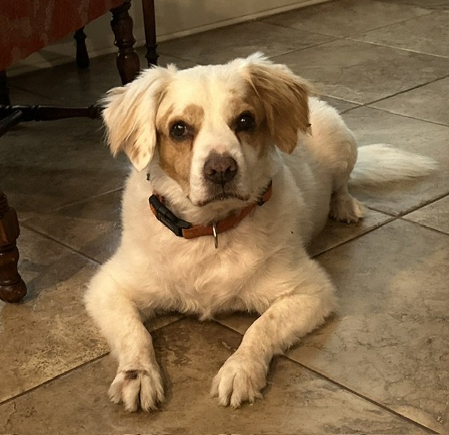 Jasper Jack