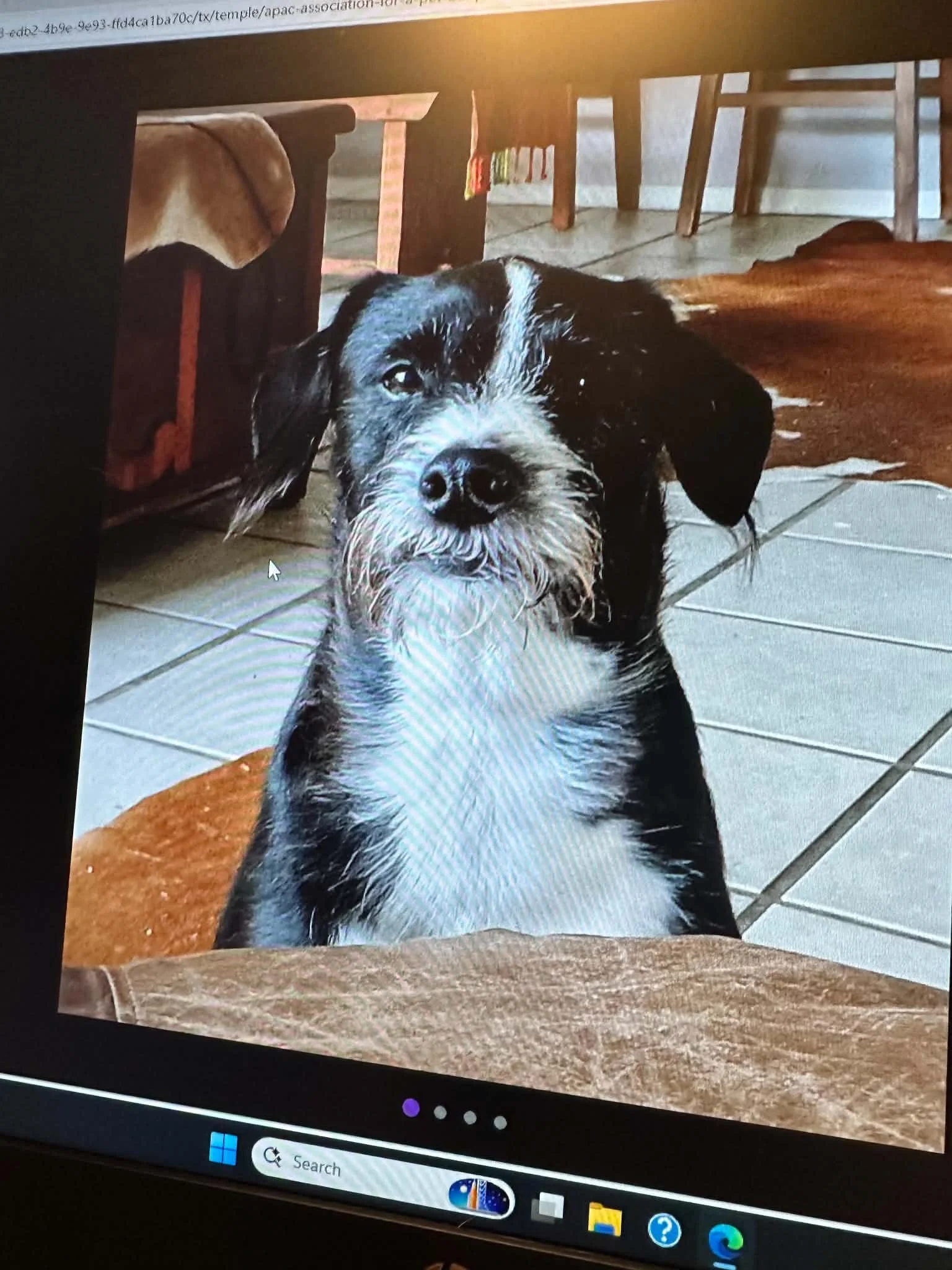Fergus