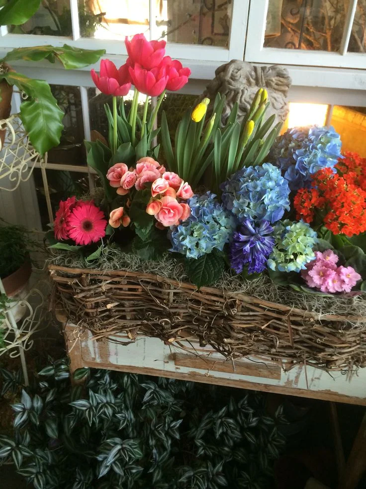 Send A Garden In A Basket!