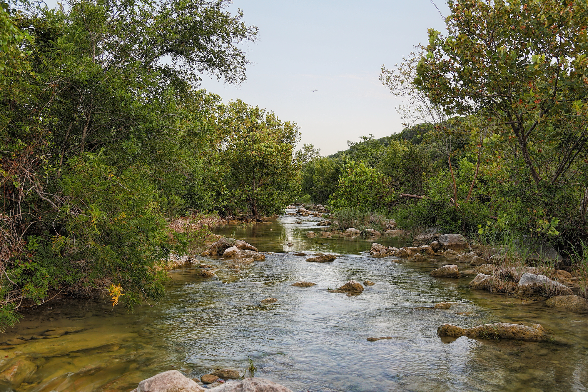 swimming hole barton creek greenbelt texas travel