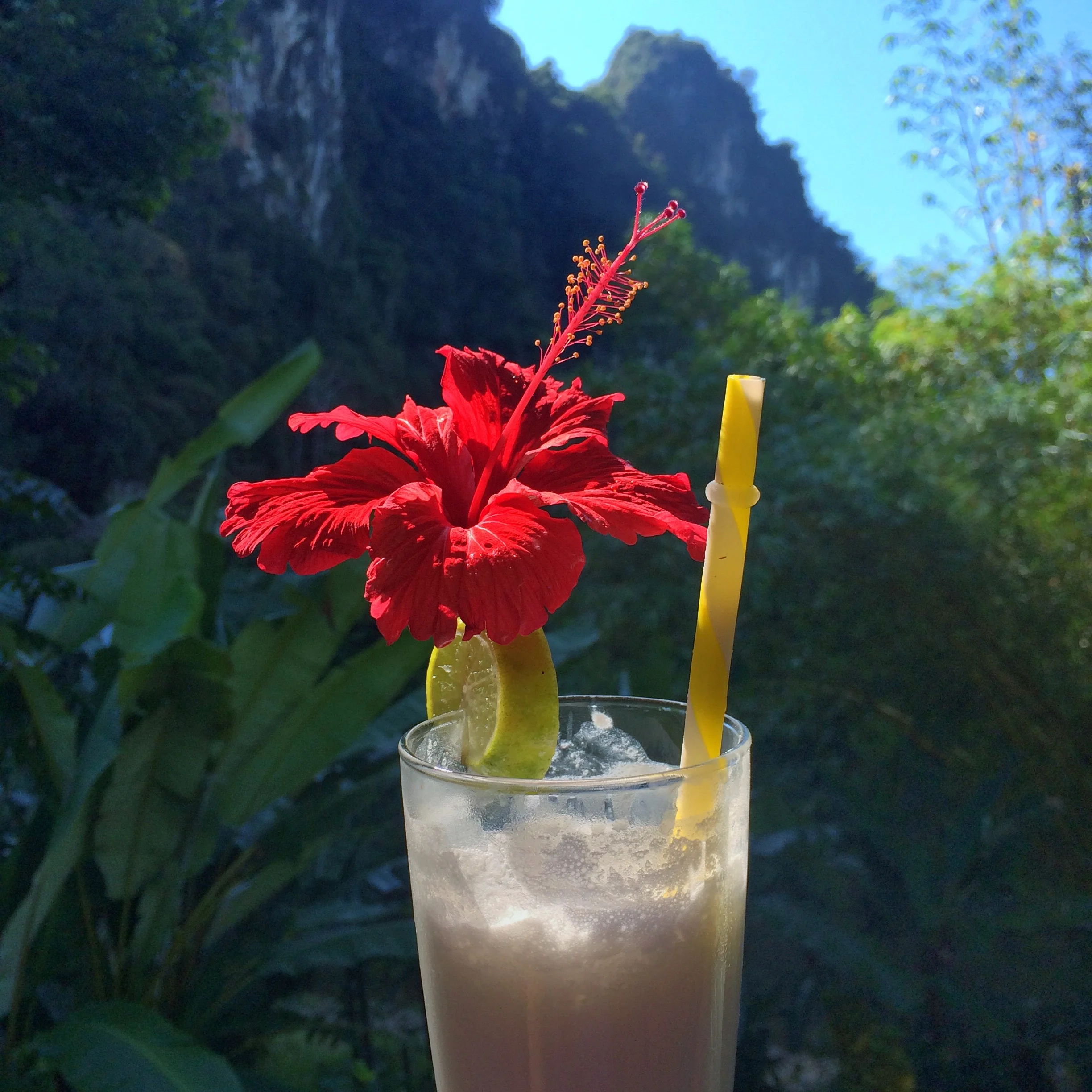 A fresh coconut shake serves well as an afternoon treat.