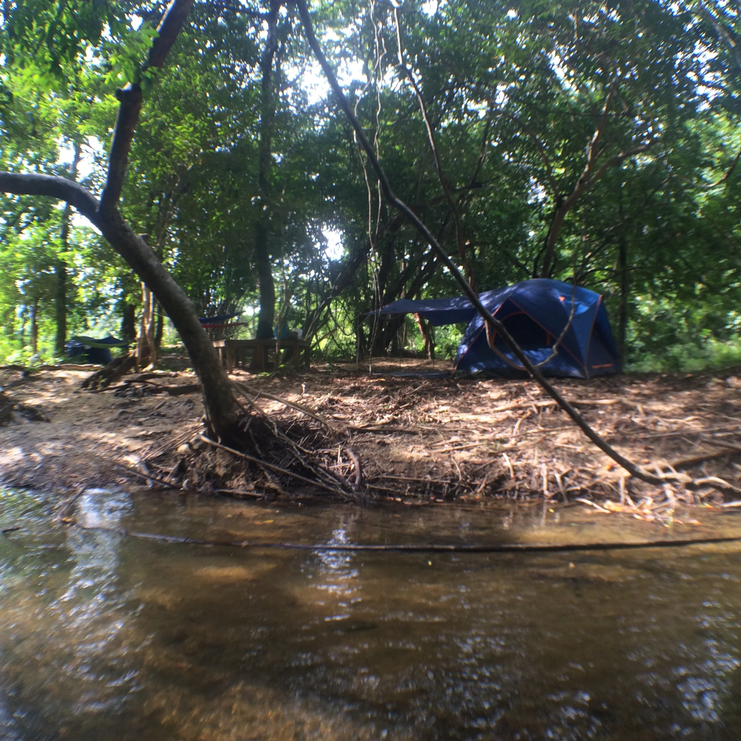 Jungle campgrounds