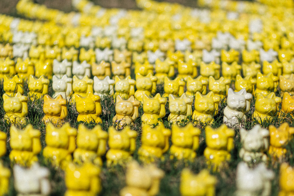  Teruko Nimura — 1800 Lucky Cats — Austin Animal Center  