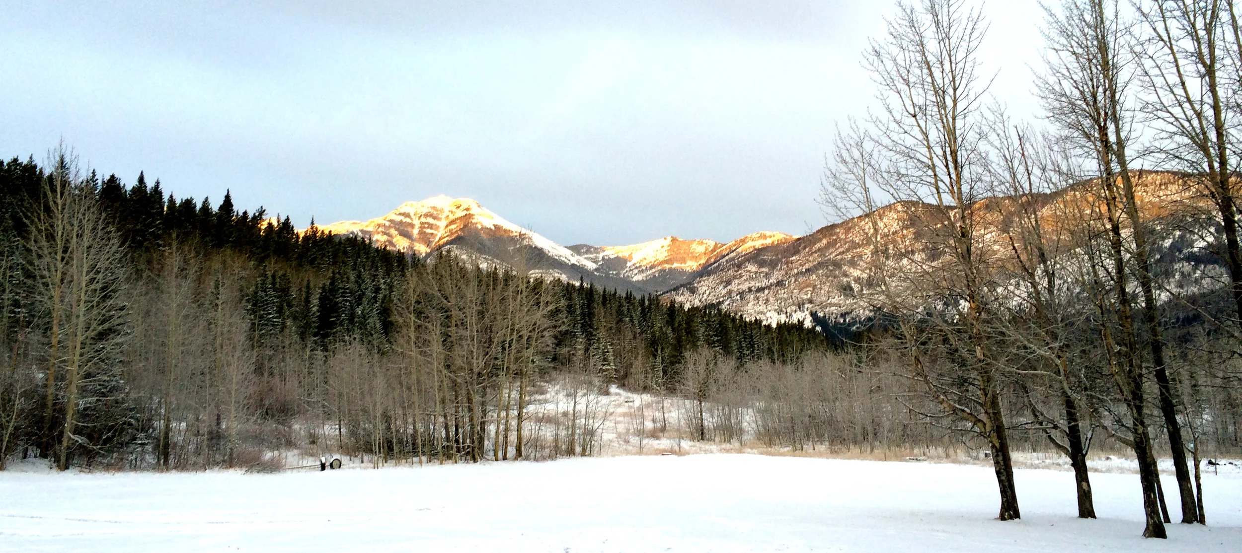 Kananaskis Symposium on Molecular Simulation