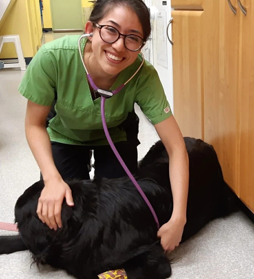 Veterinary Student Soleil, assessing a dogs heart.