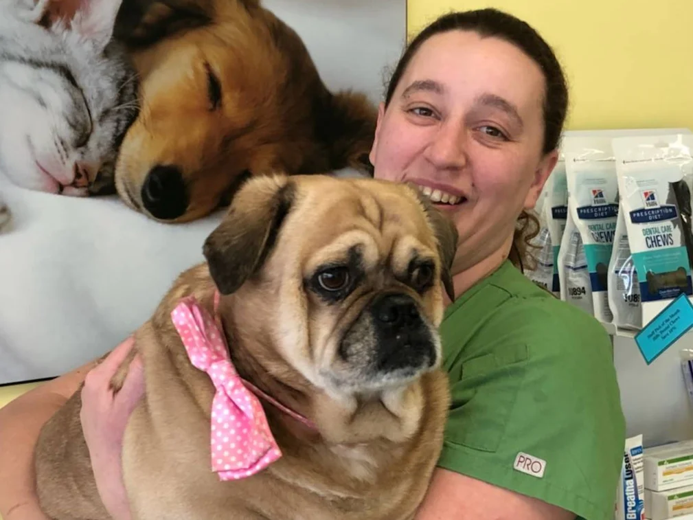 Veterinary Assistant, Nicole, with a patient at the Clinic.
