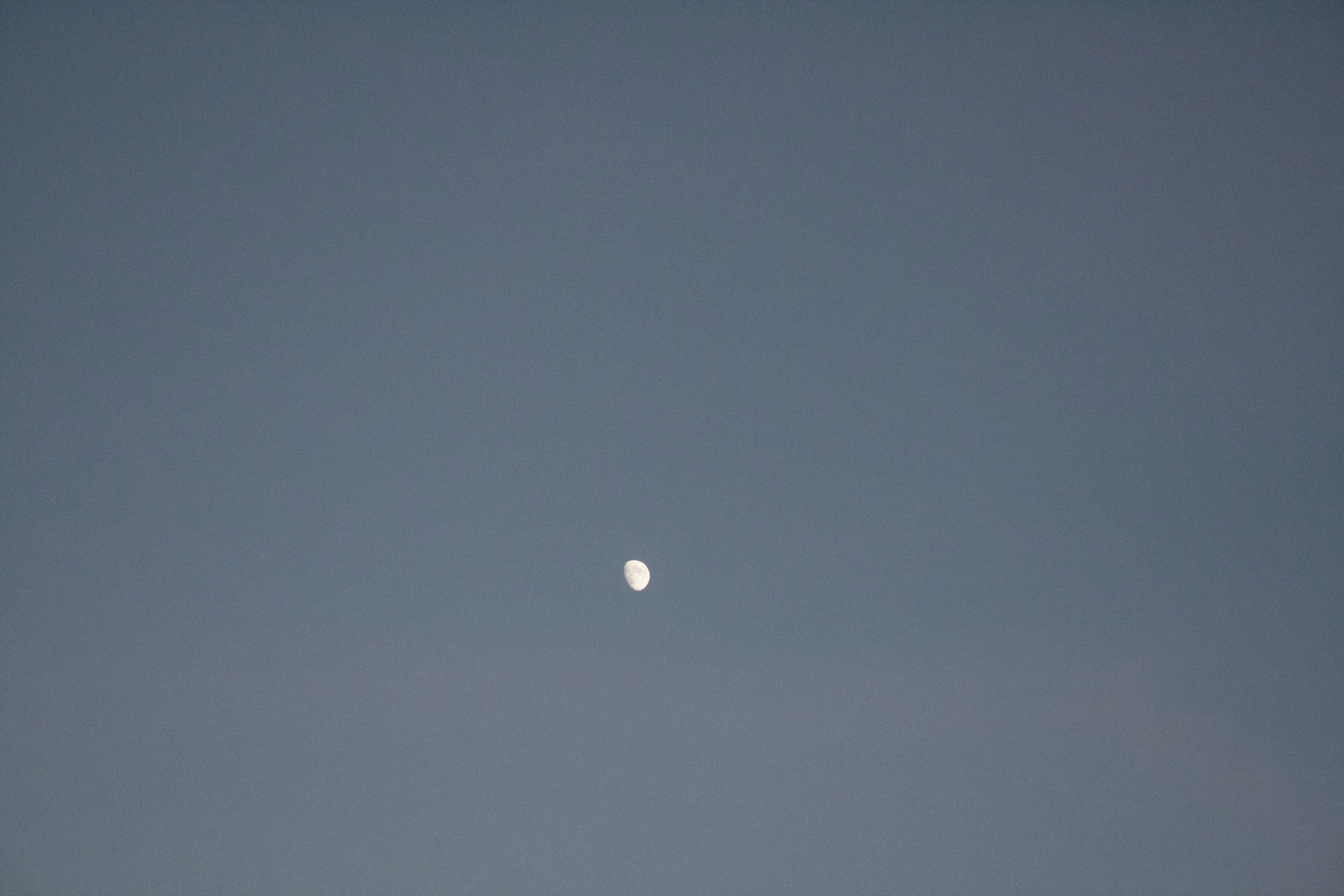 _MG_3930.jpg