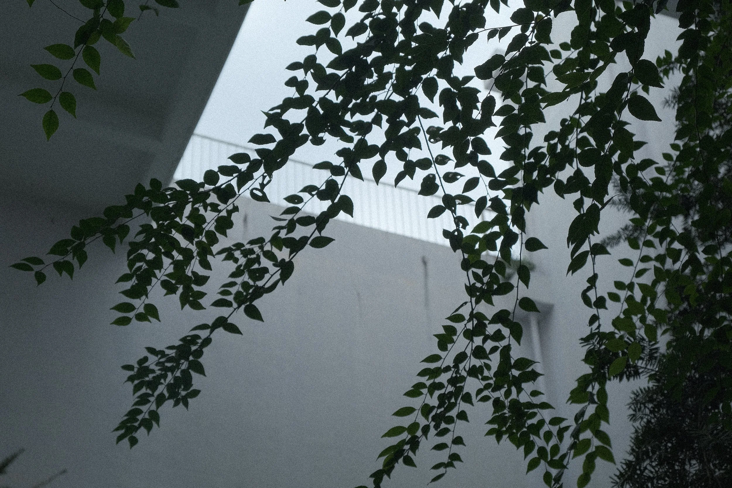 DSCF9934.JPG