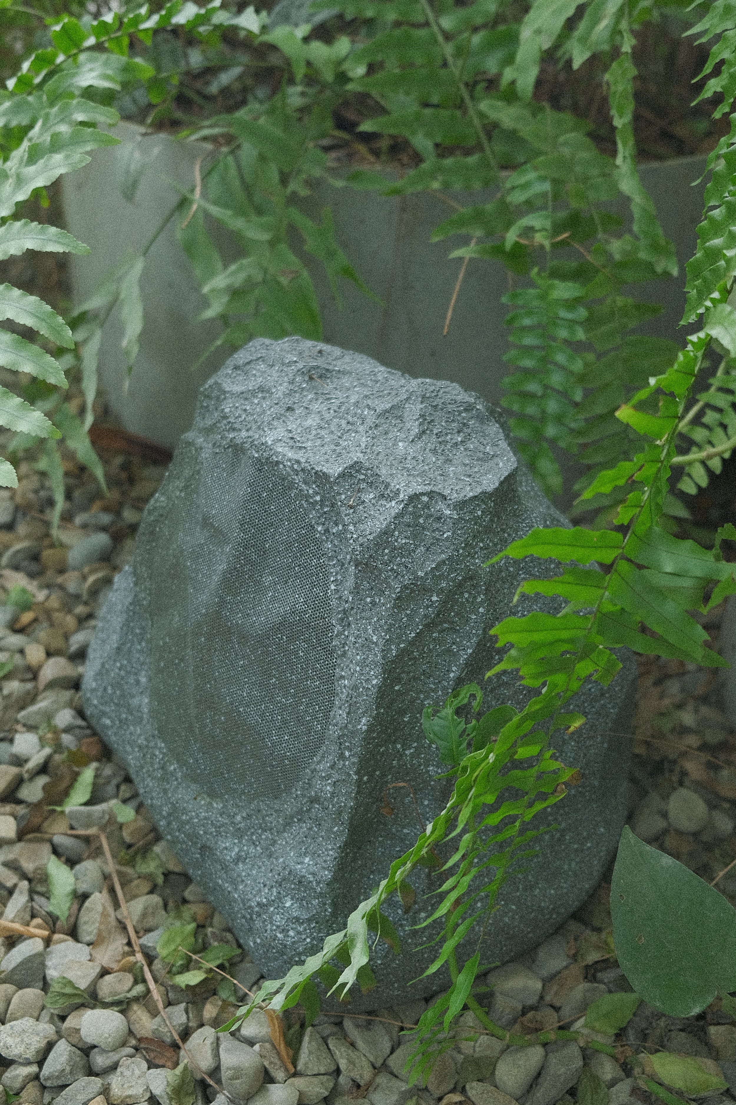 DSCF9991.JPG