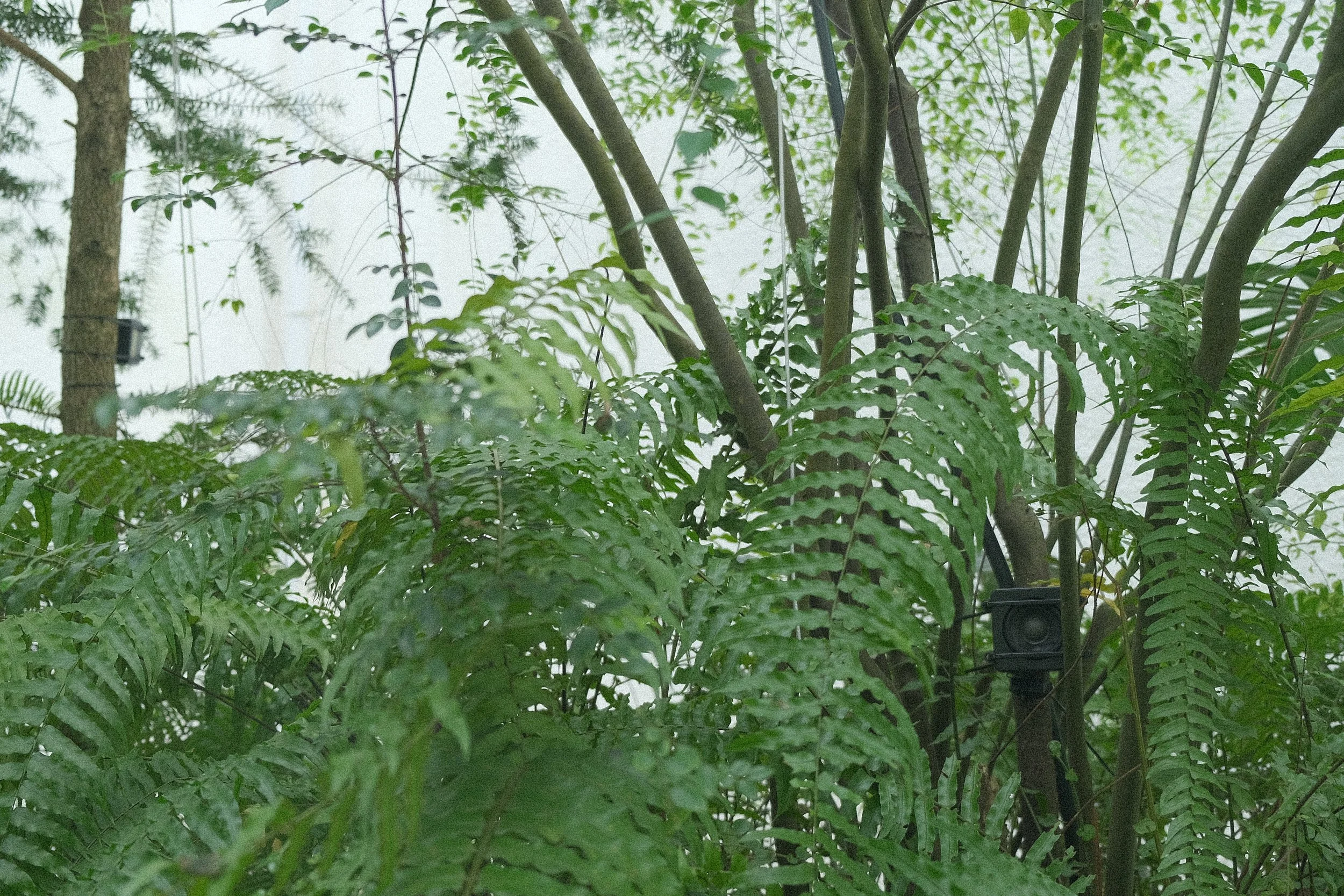 DSCF9897.JPG