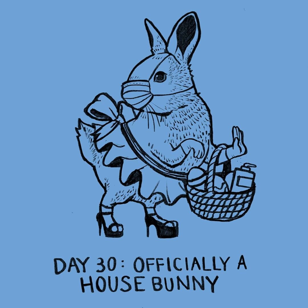 House Bunny.jpg