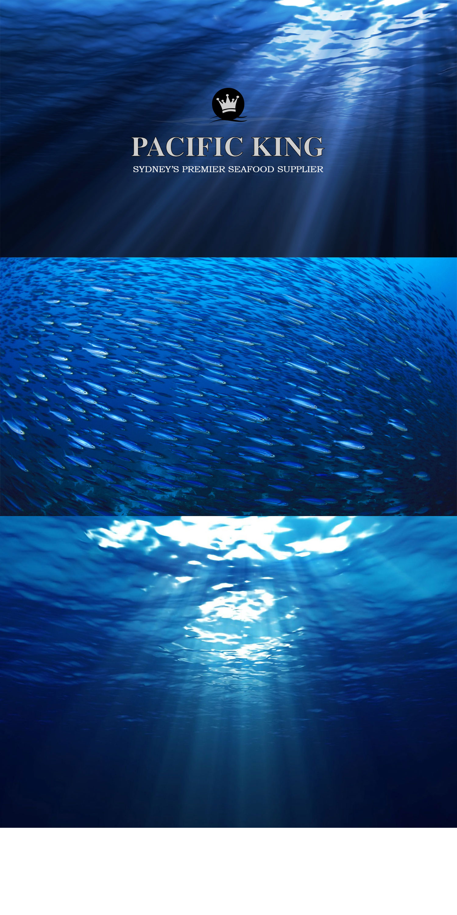 Ocean-Image-(collage).jpg