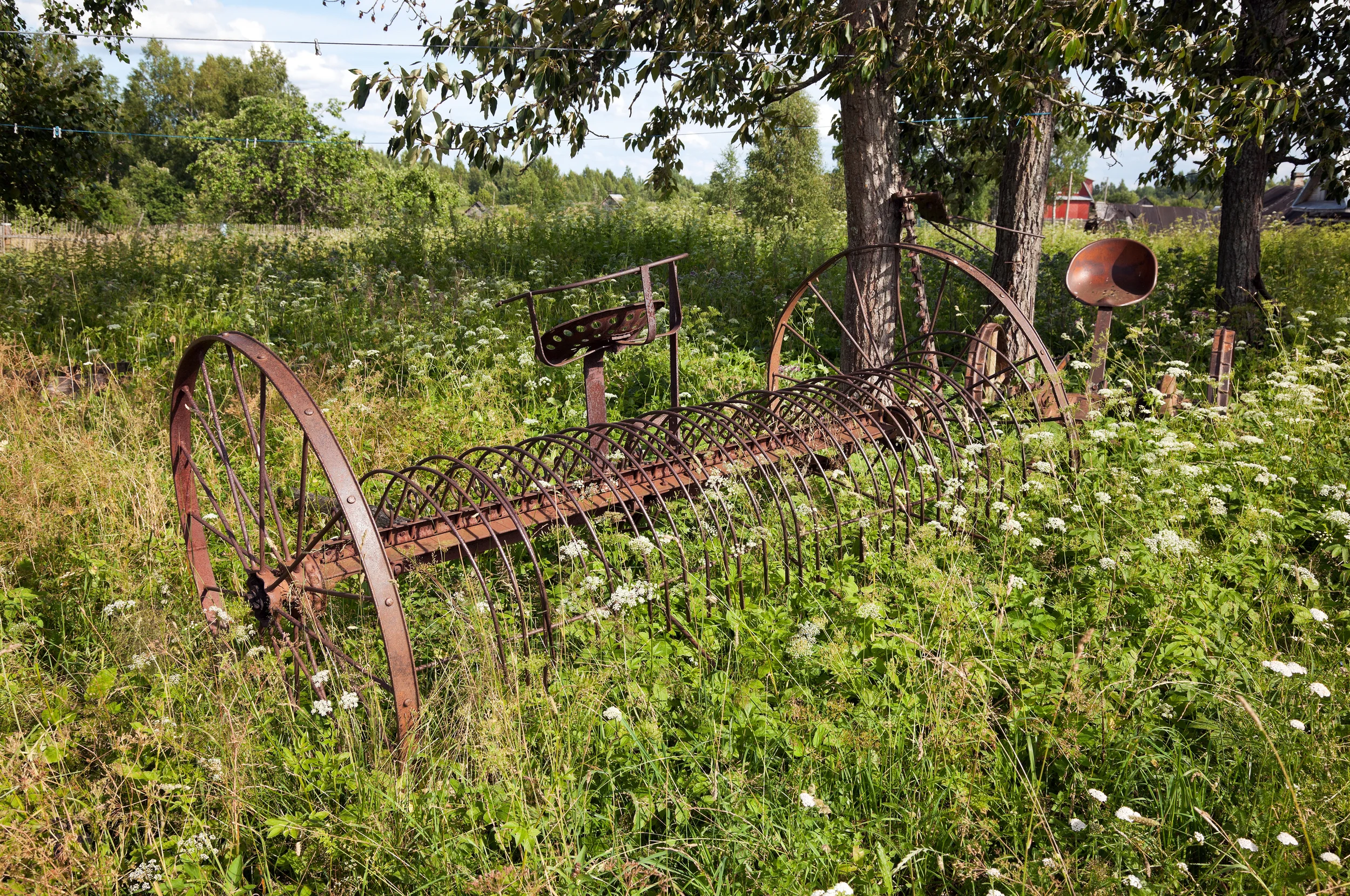 bigstock-Rake-Hay-In-Agriculture-Obsol-33029240.jpg