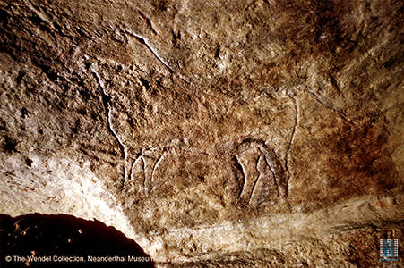 Beautifully drawn Aurochs in la Salle des Bisons. Photo by Heinrich Weindel