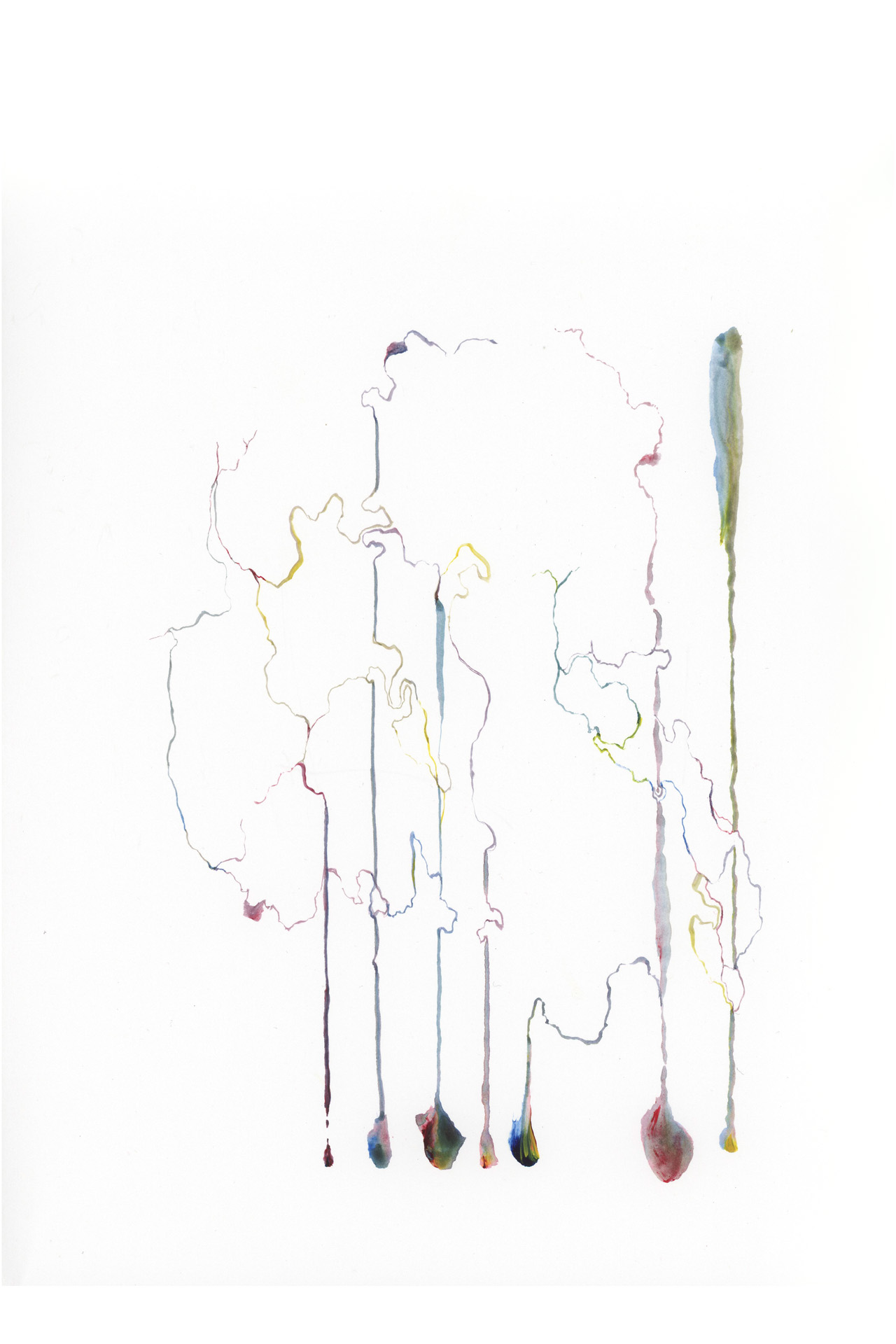 web_color2.jpg