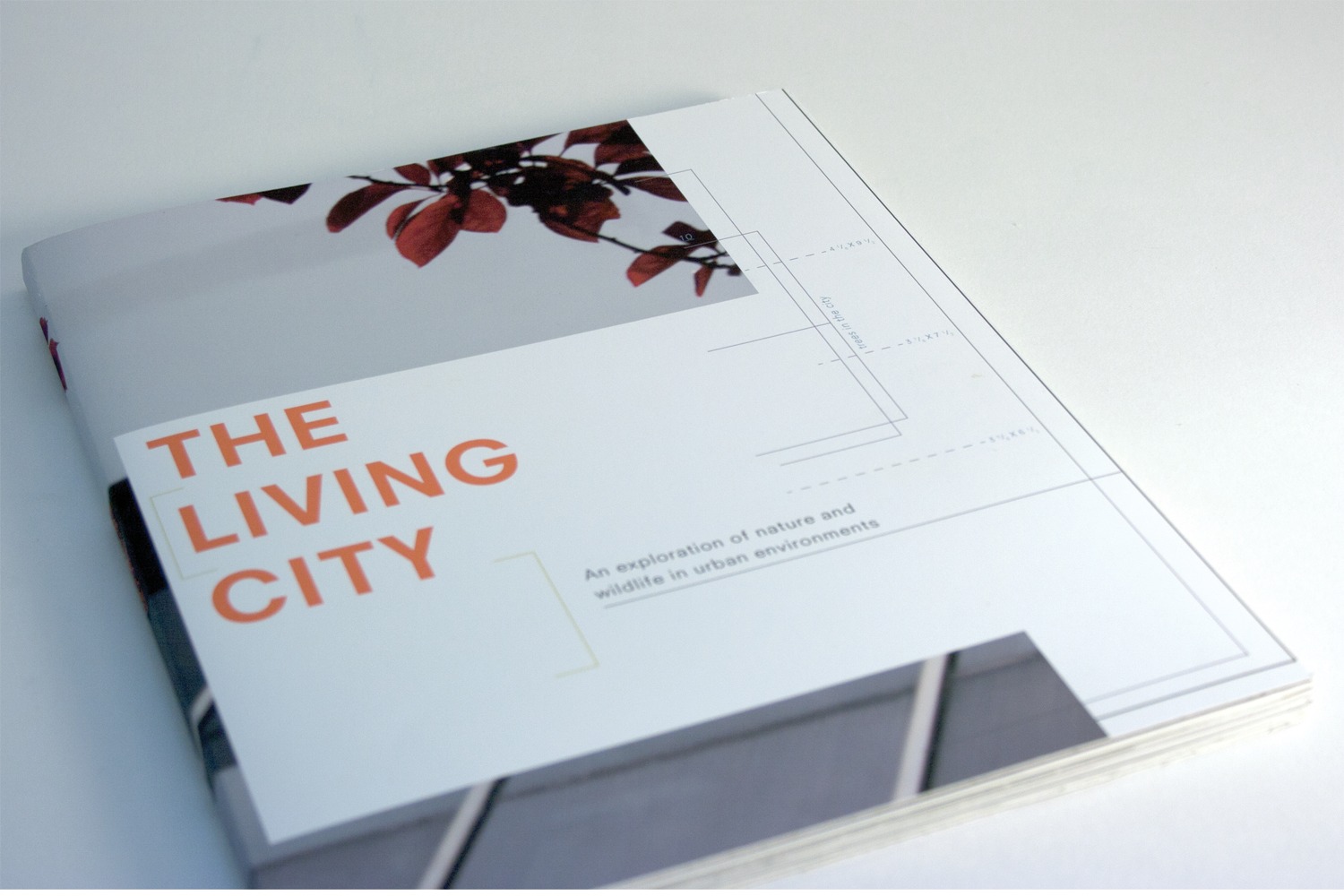 Living-city-book-cover.png