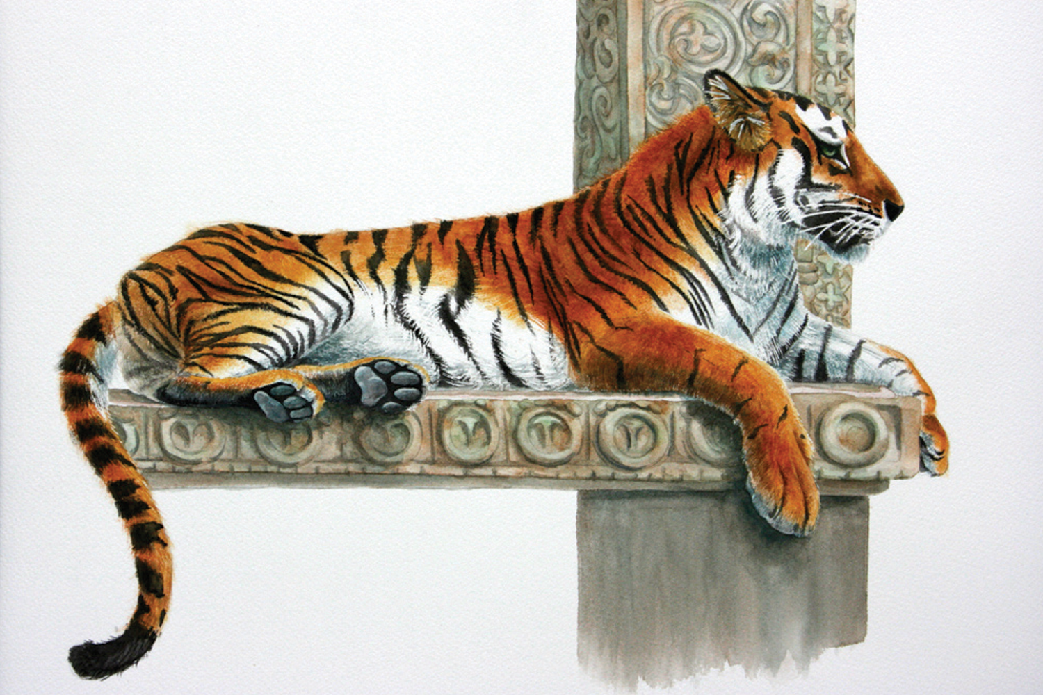 Tiger.png
