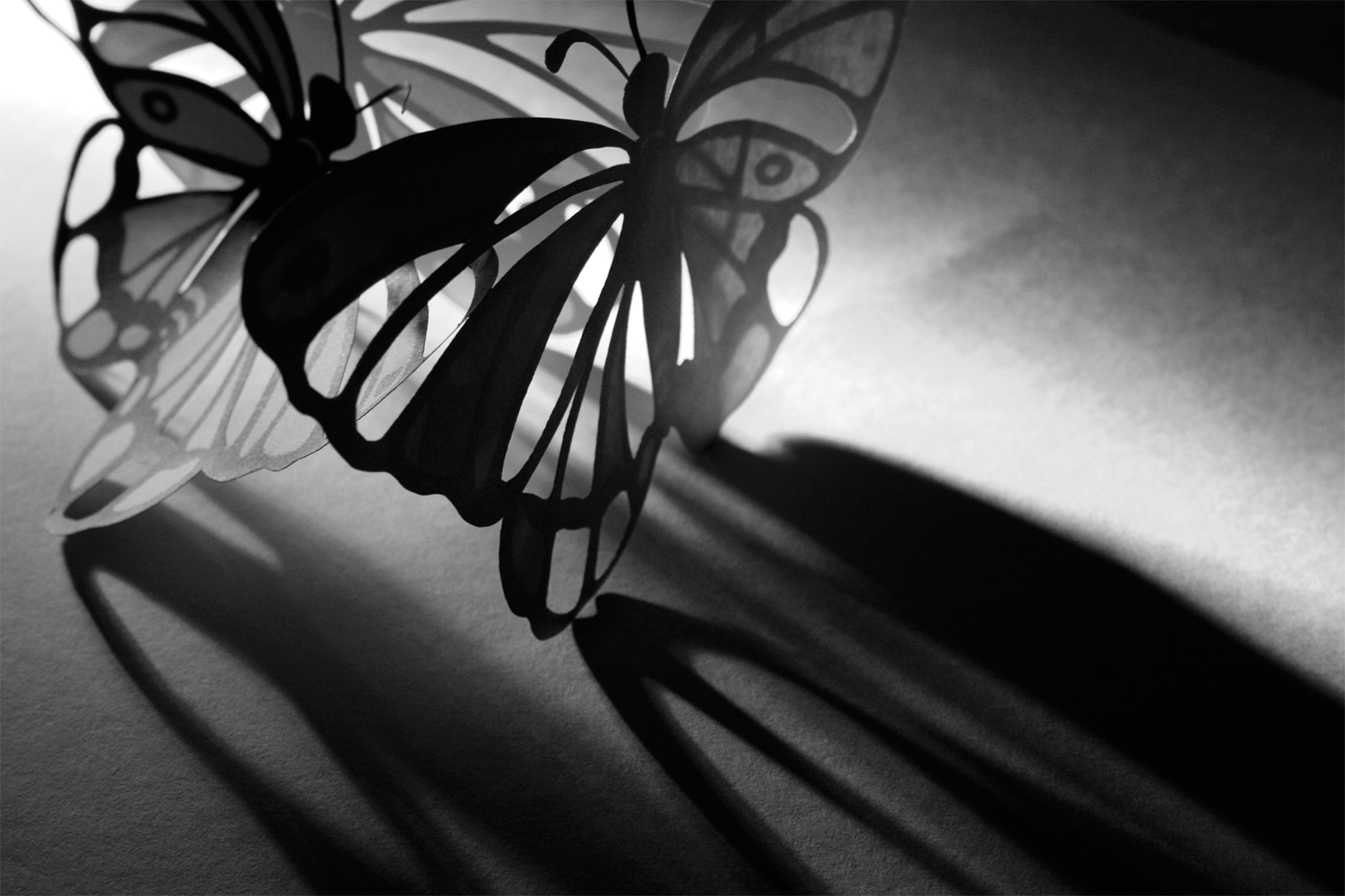 Butterfly-paper.png