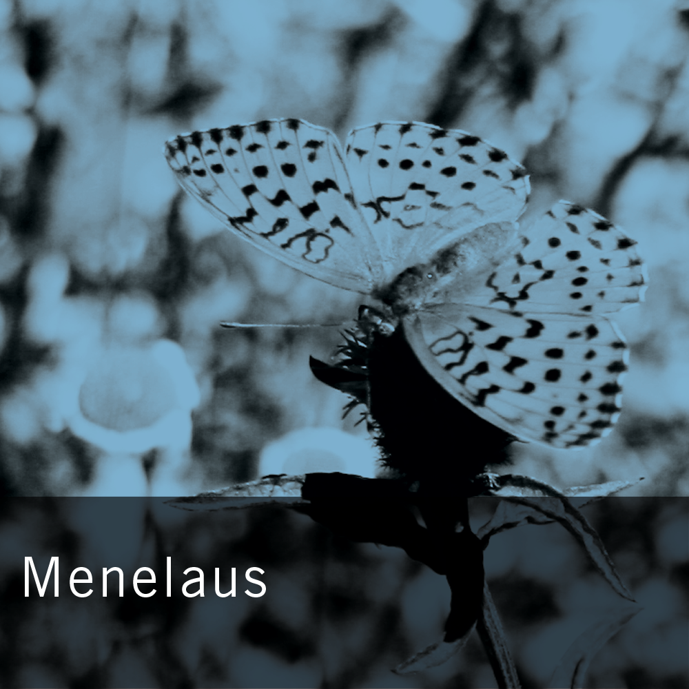 Menelaus-opener.png