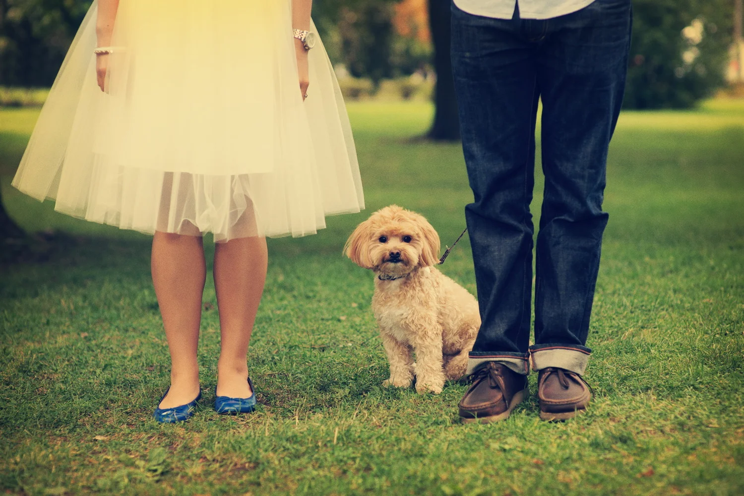 Engagement Photography