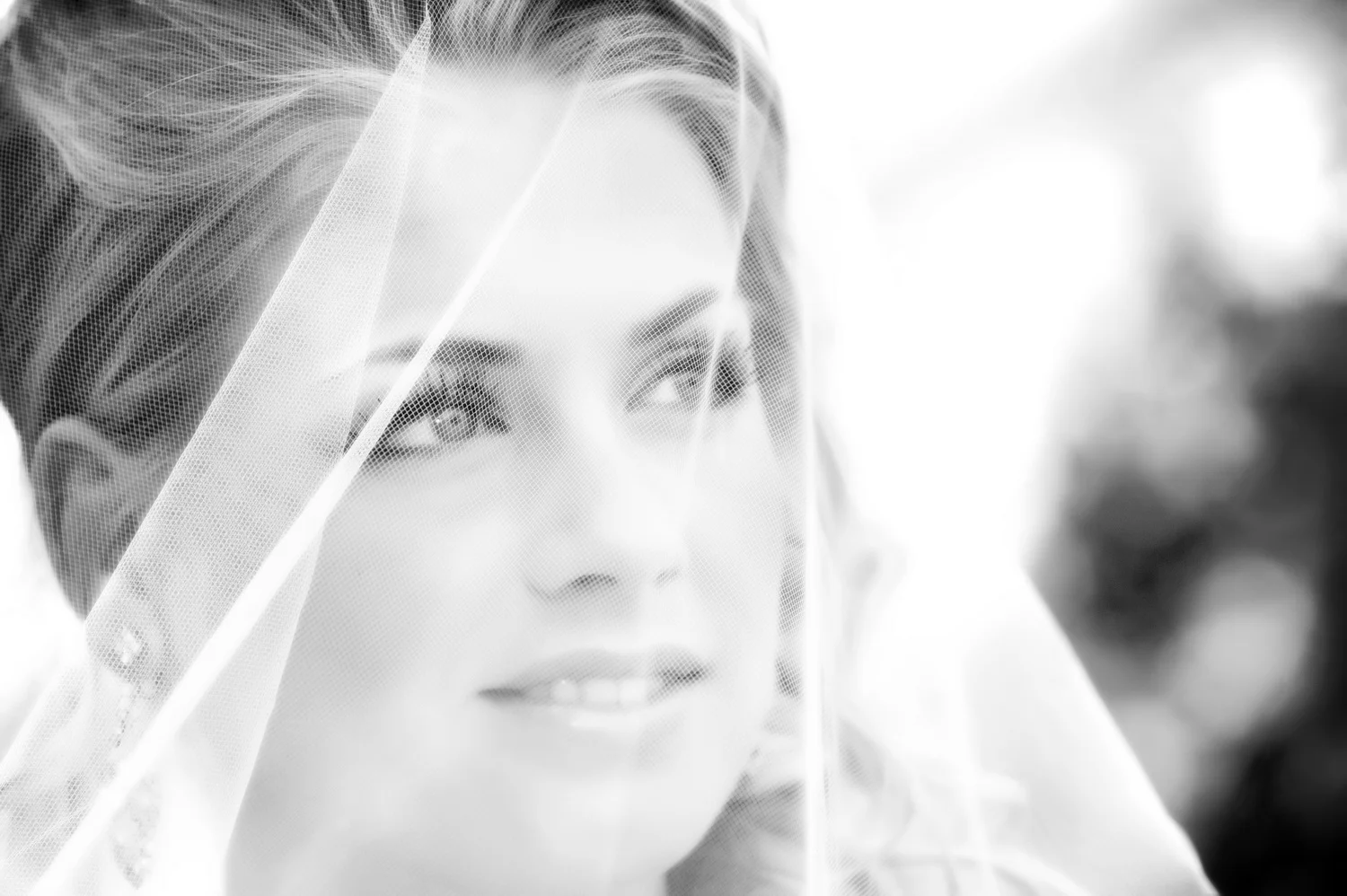 Winnipeg Wedding Photography
