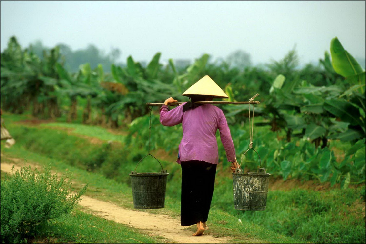 HANOI4.jpg