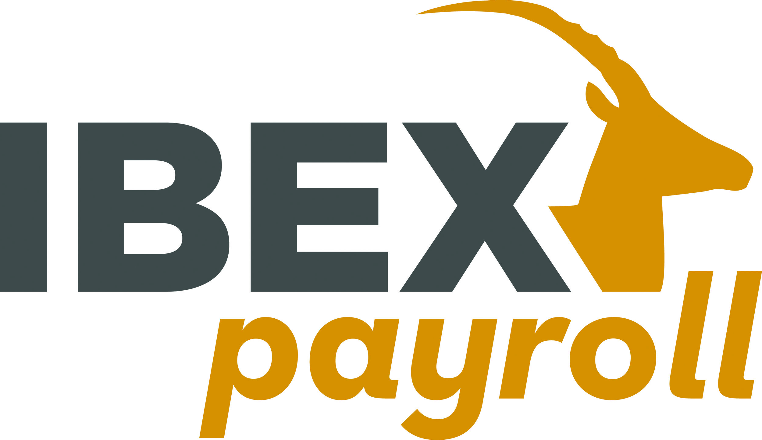 ibex payroll.jpg