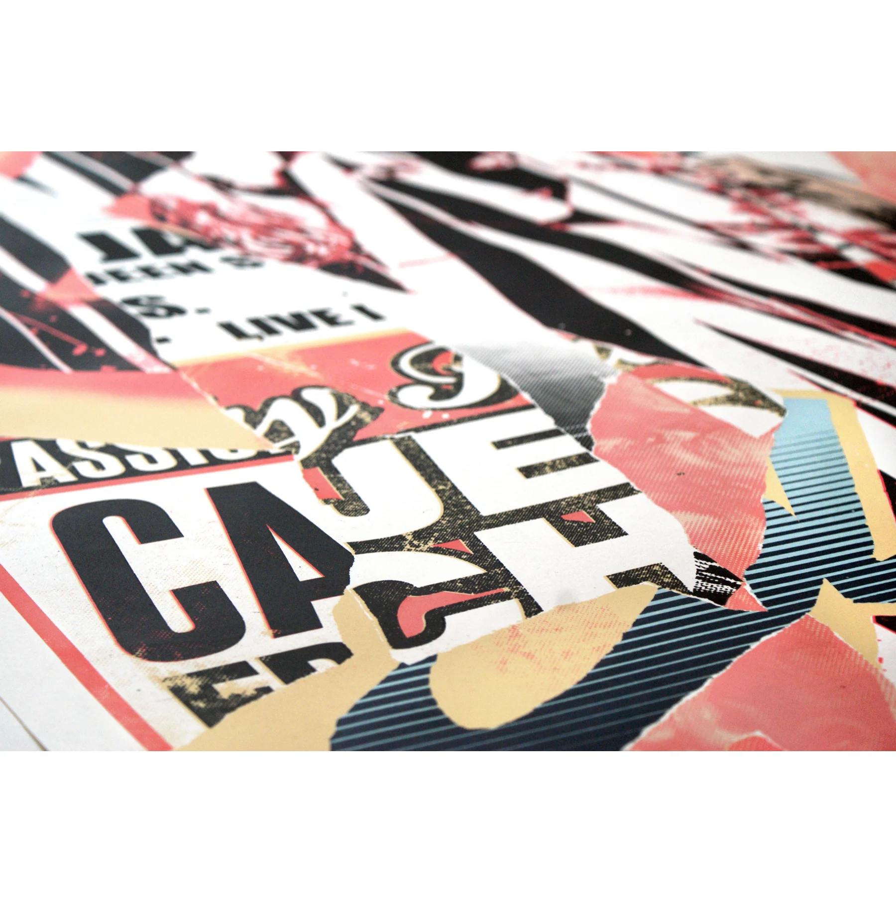 charlie anderson art print 2.jpg