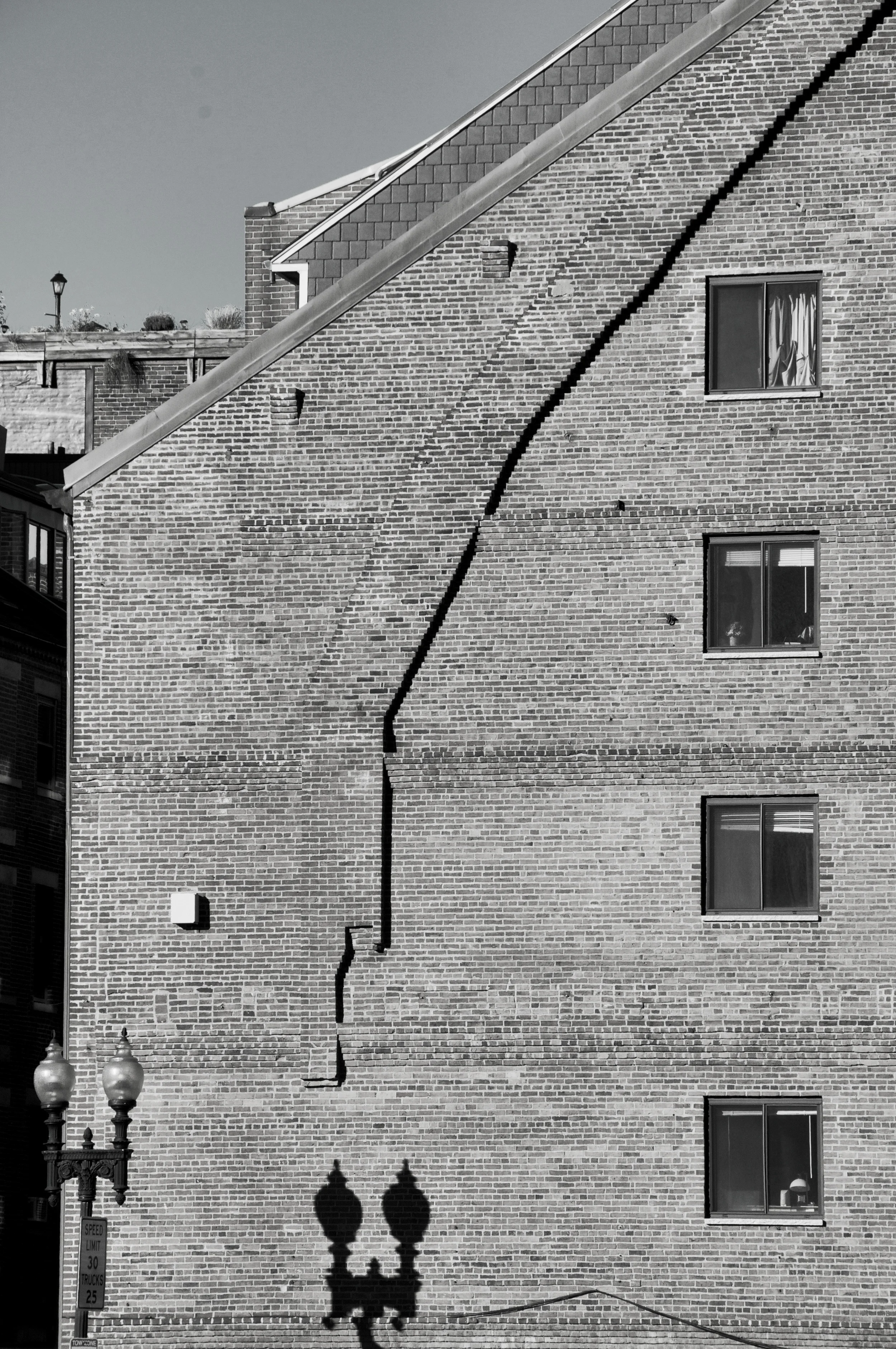 DSC_6129_Snapseed-BW.jpg