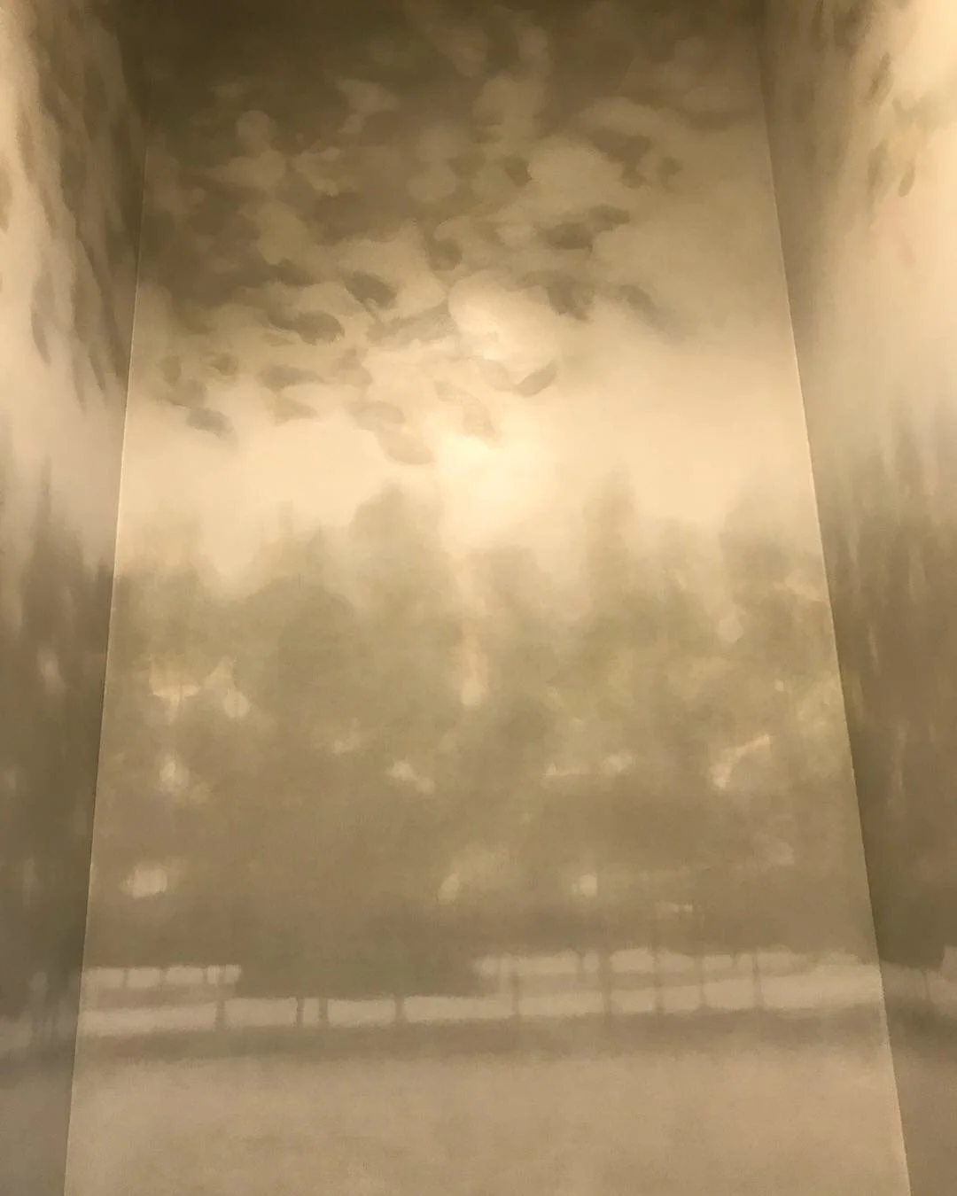 Powder Room Mural. Ross, CA