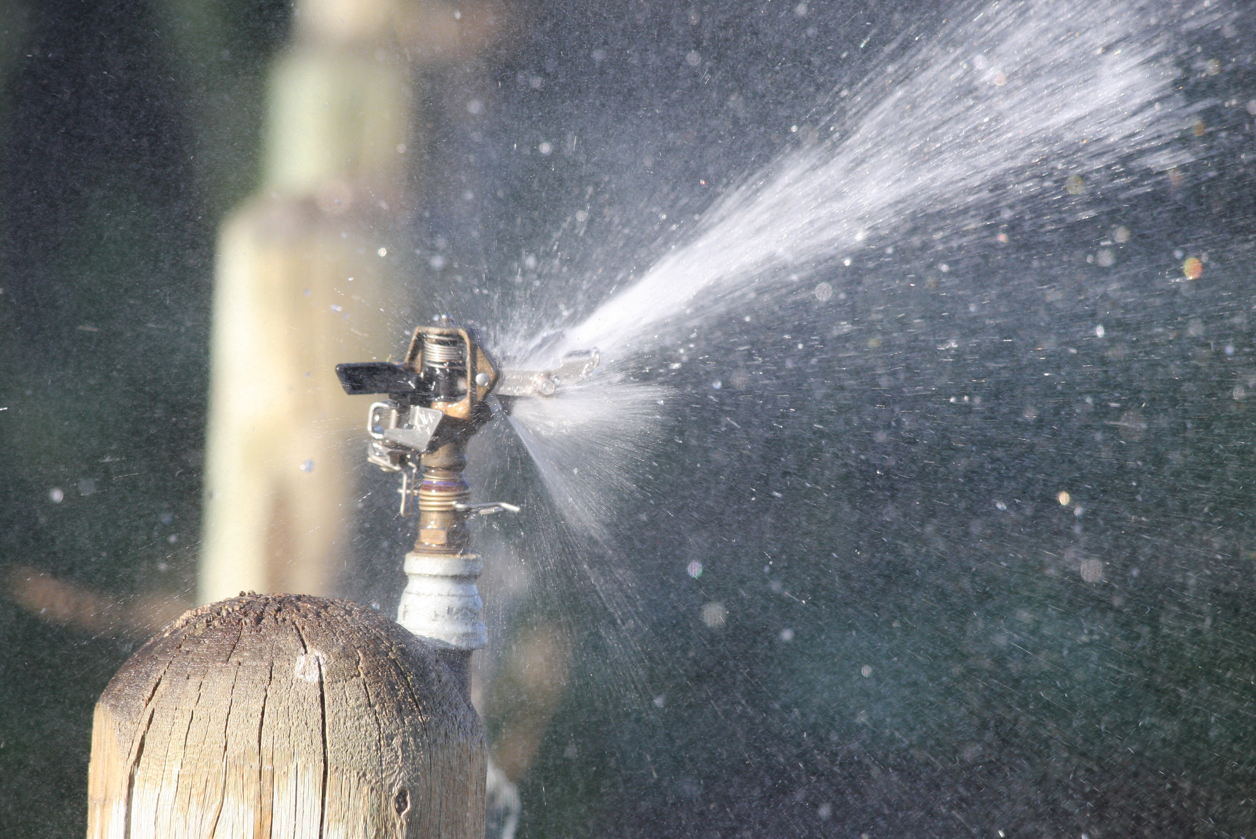 20100531 impact sprinklers on garden at BVF (9).jpg