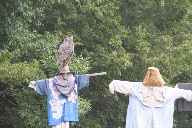 image07.jpg