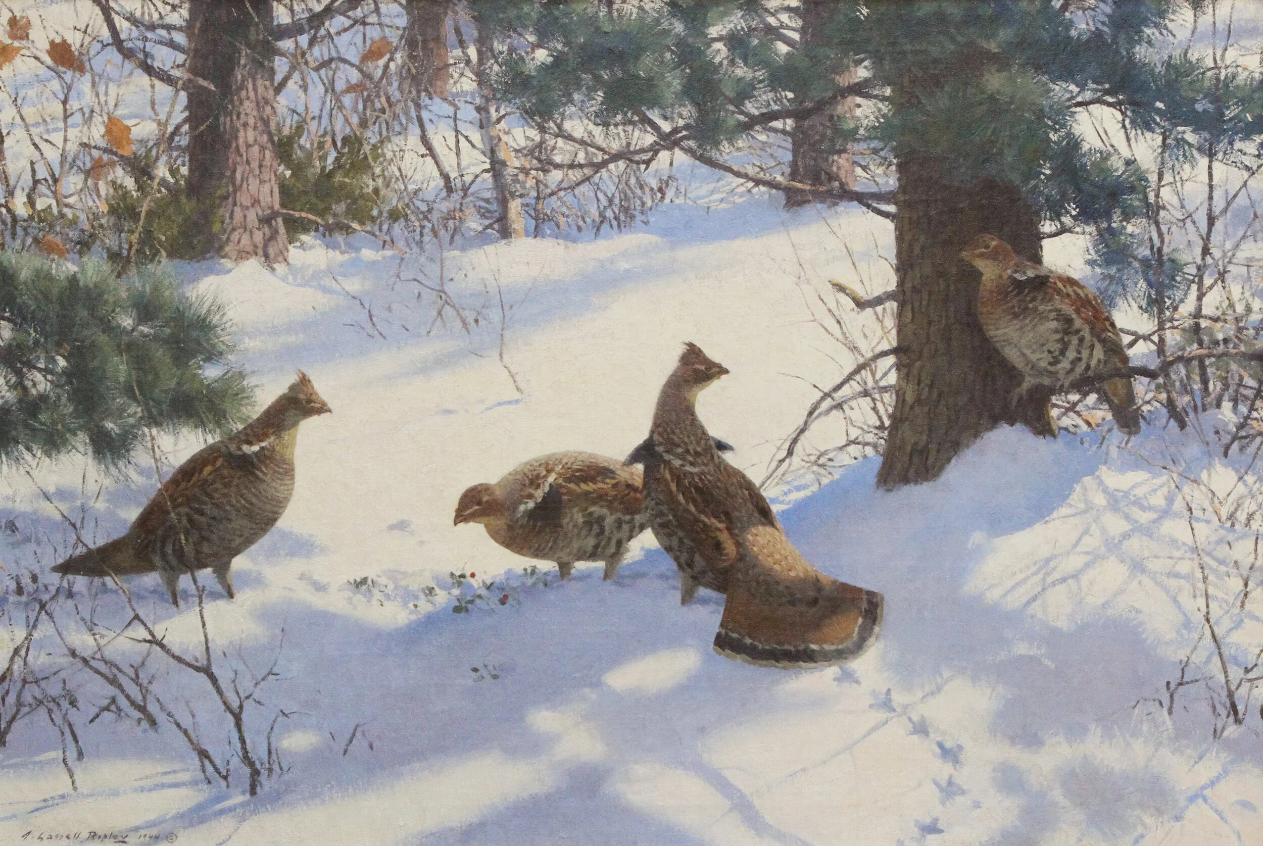 The Sportsman's Gallery, Ltd — CHARLESTON GALLERY ASSOCIATION