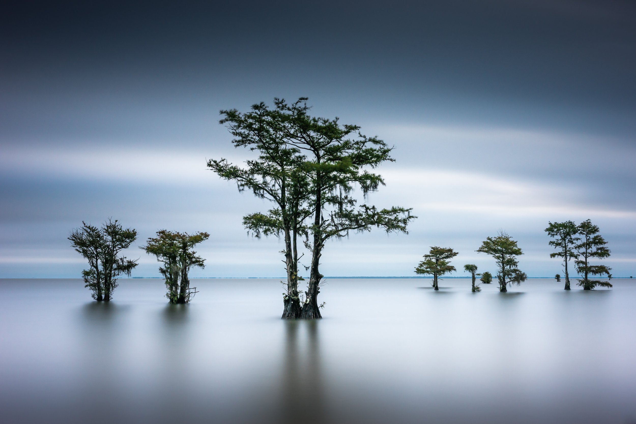 Lowcountry artisits_Ivo Kerssemaker_Summer Cypress I_photographic art.jpg