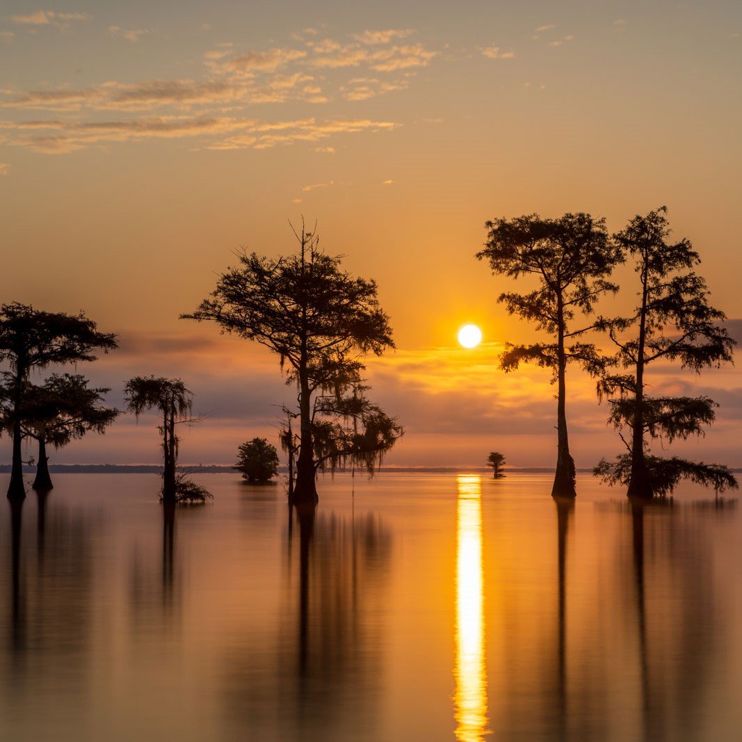 9_Ivo-Cypress-Sunrise-photocanvas.jpg