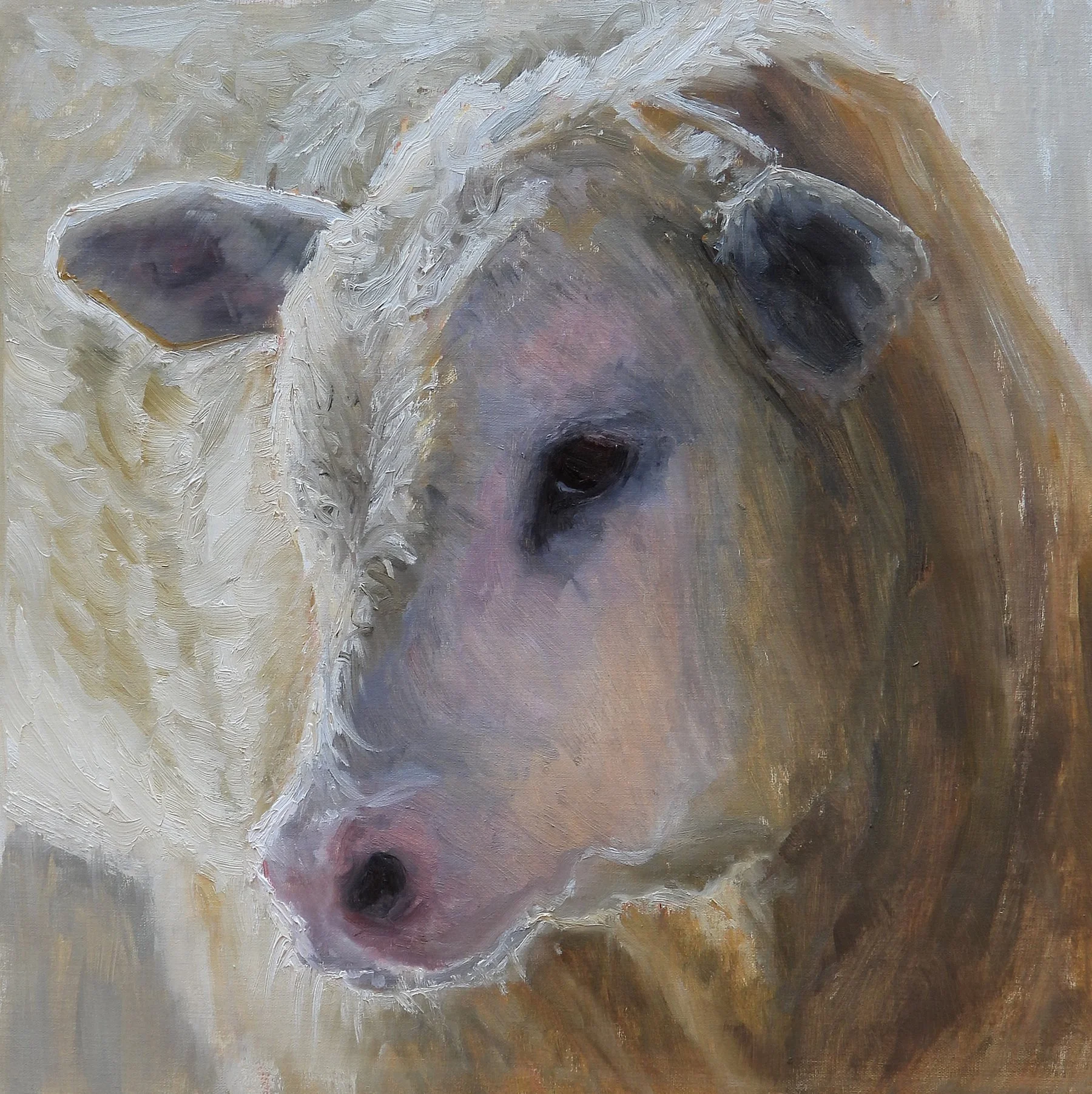 Dunphy - Bashful 16x16es.jpg