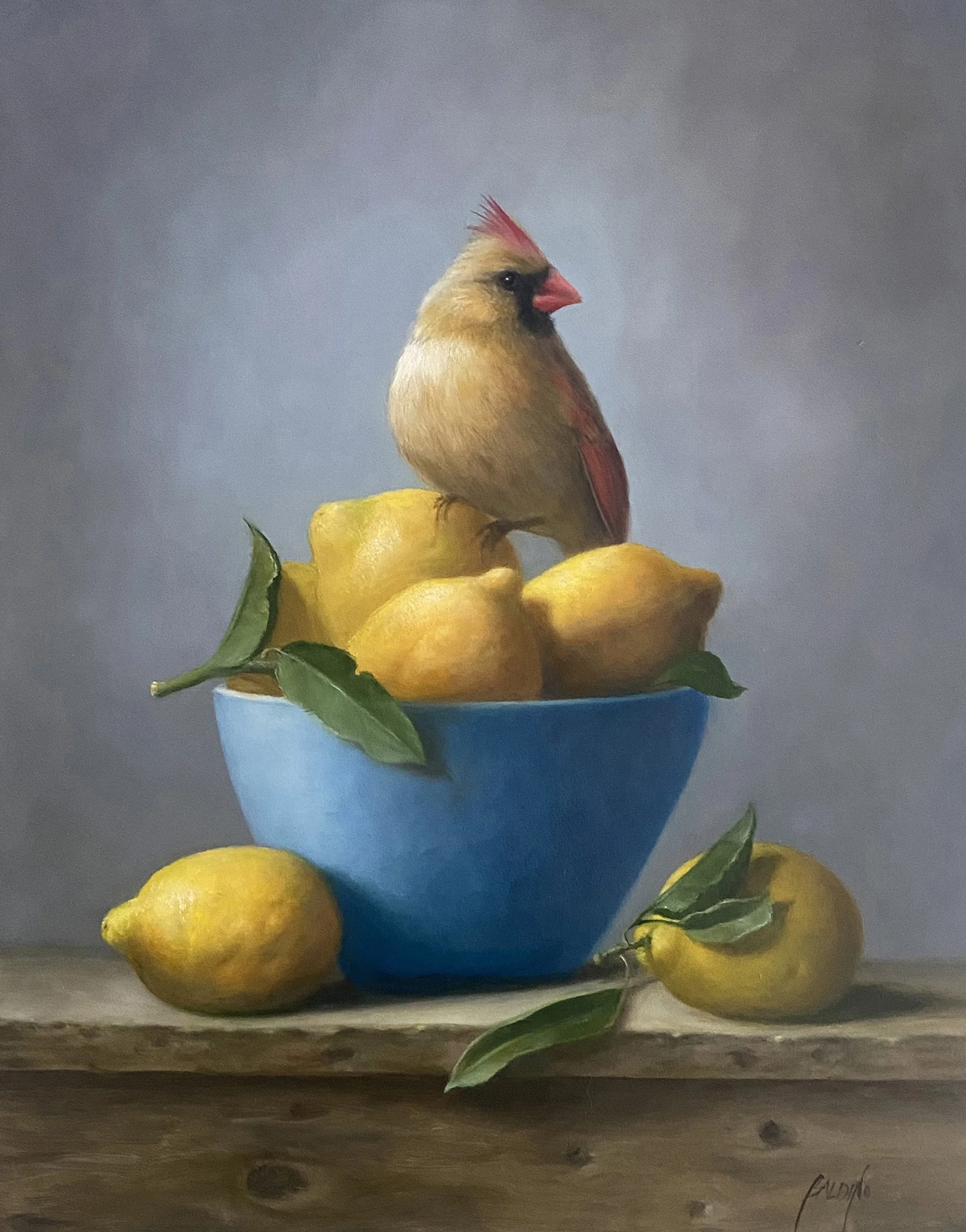 Baldino_Patt_A Golden Find (Female Cardinal) 18x14_oil.jpg