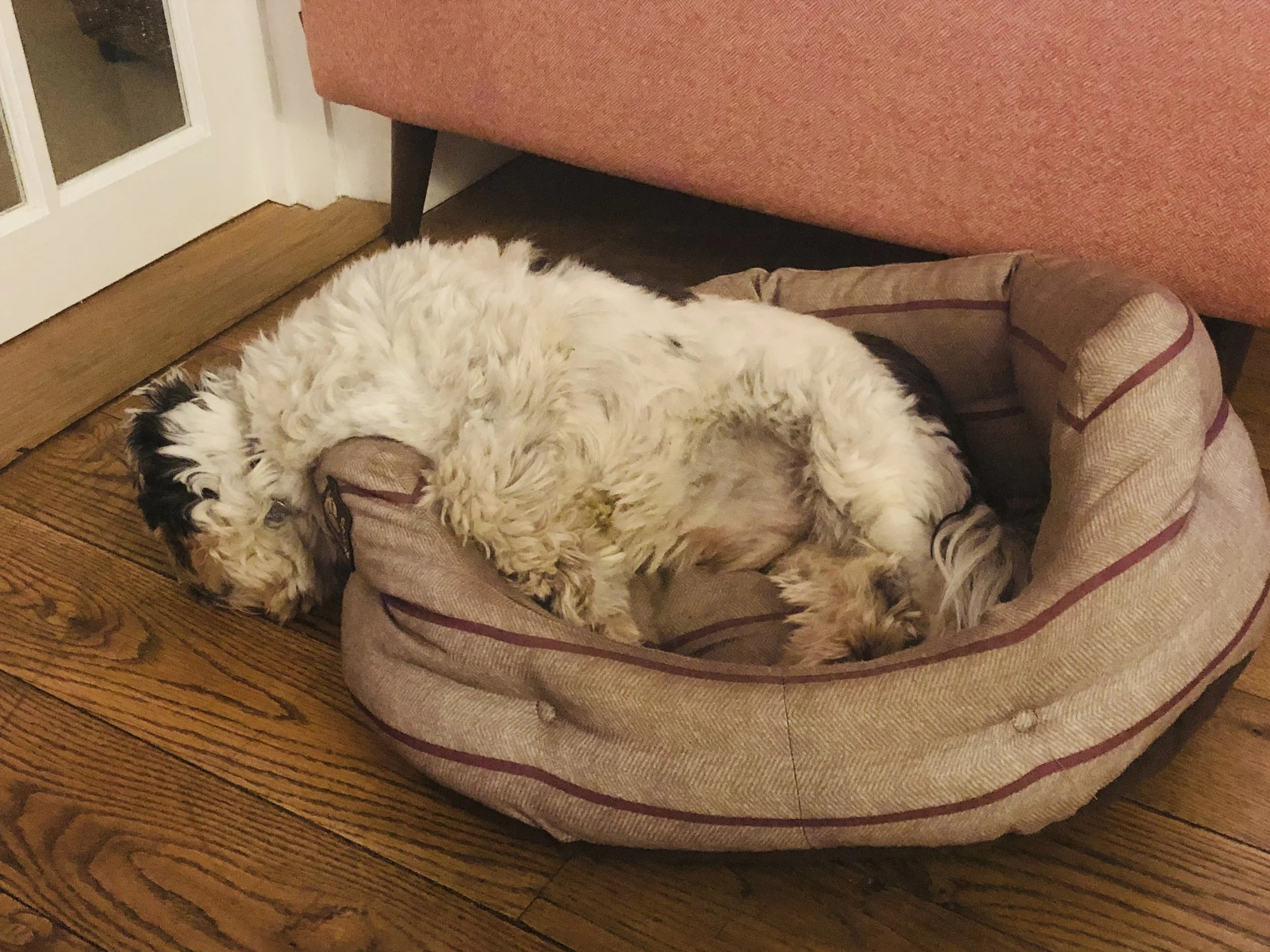 To sleep, perchance to dream