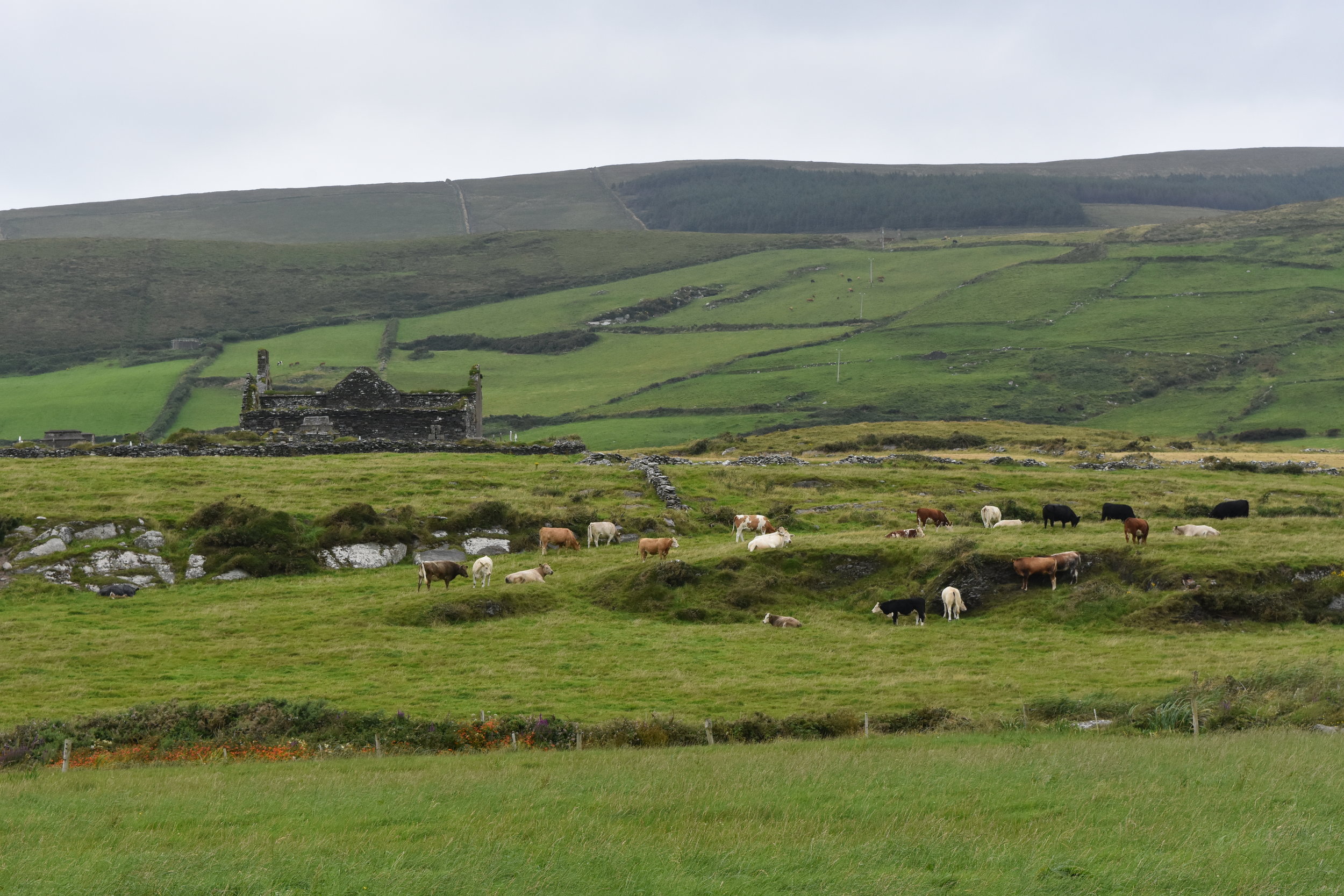DSC_5947.JPG