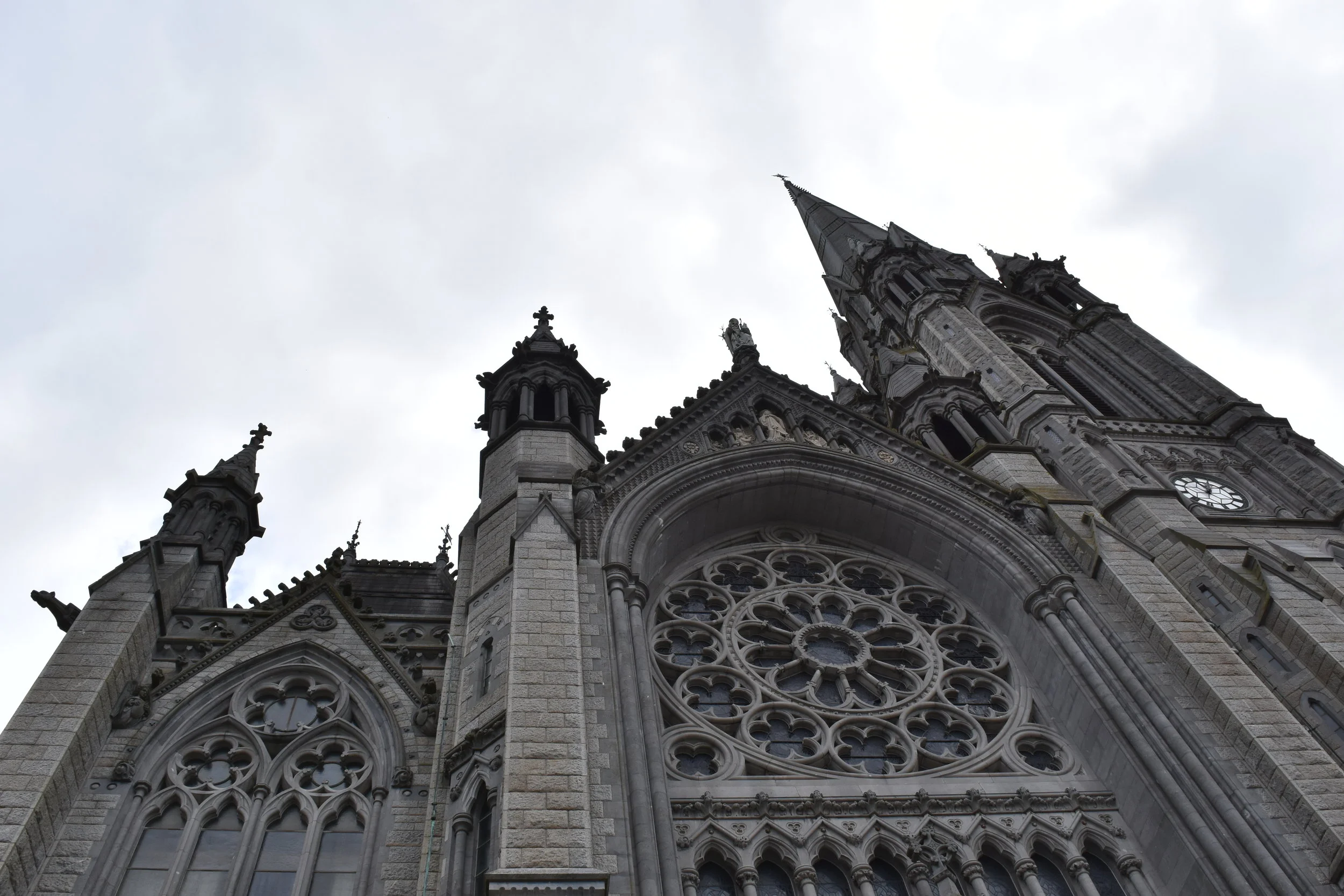 DSC_6260.JPG