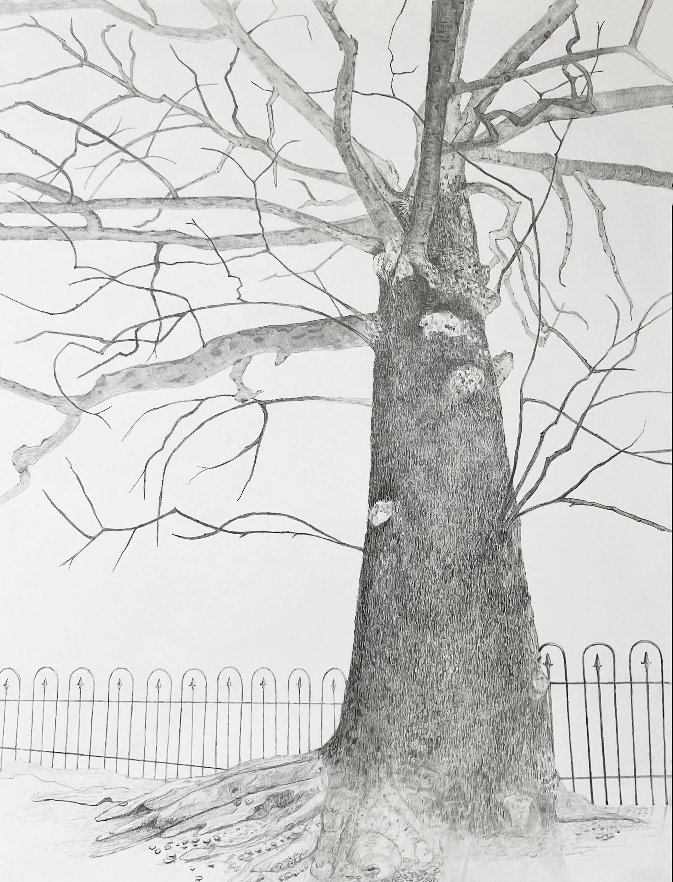 Liz Mitchell Riverside 22x30%22.jpg