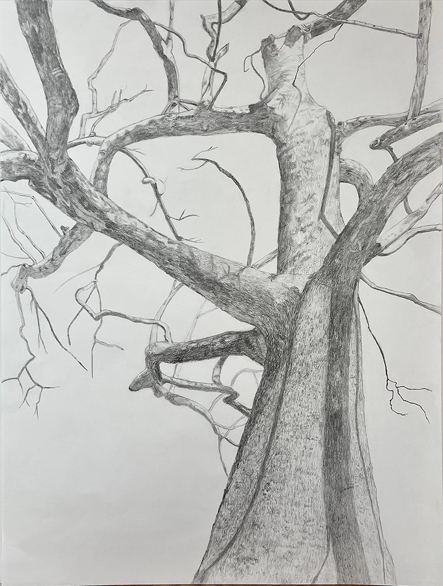 Liz Mitchell Shelter 18x24%22 2025.jpeg