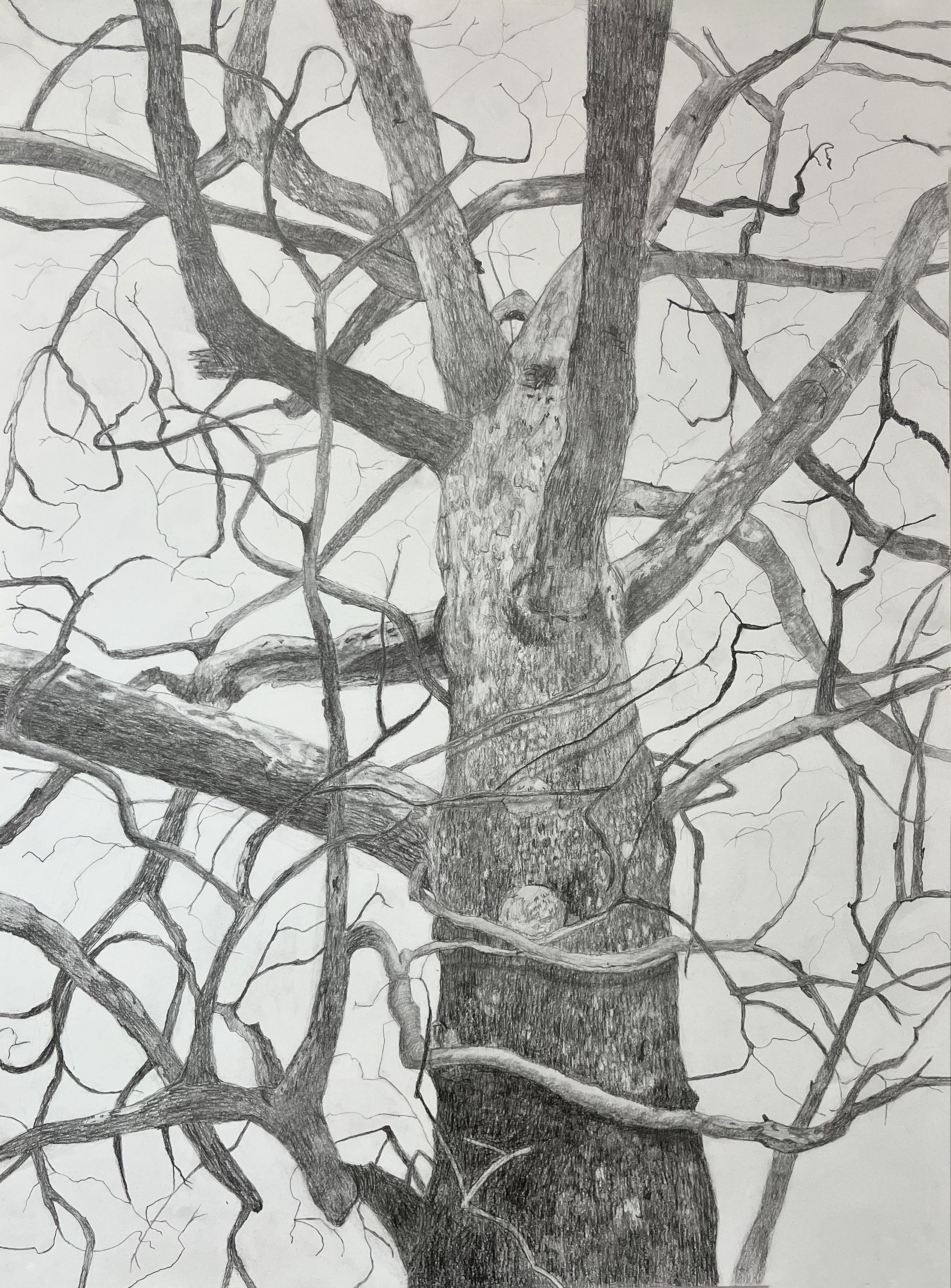 Liz Mitchell At the Farm  18x24%222025.jpg