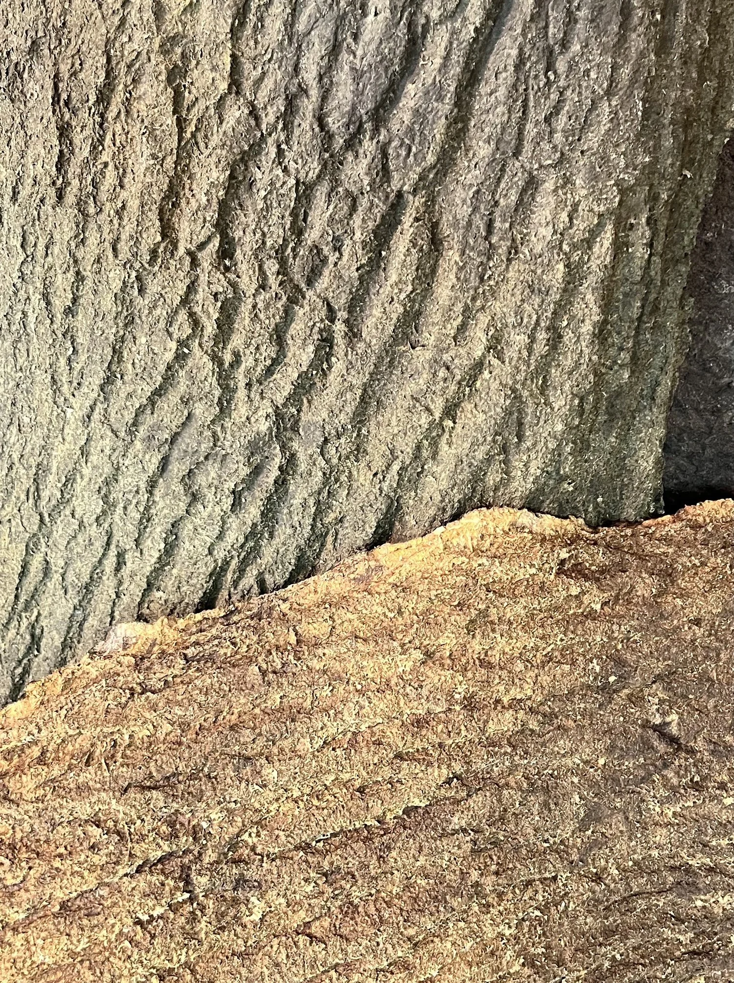 Liz Mitchell Detail The Earht Remembered Me 2025.jpg