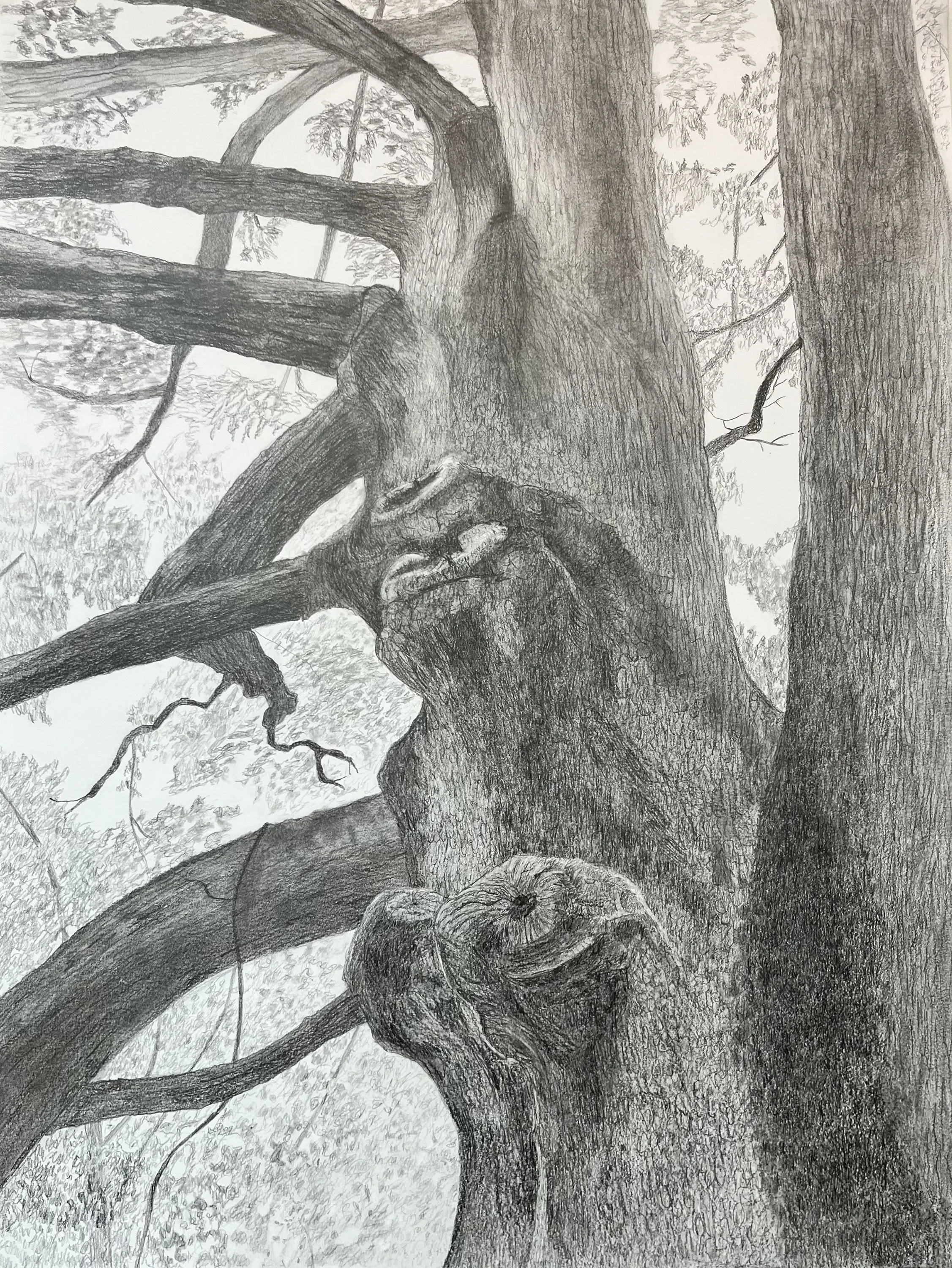 Liz Mitchell The Druid 18x24%222025.jpg