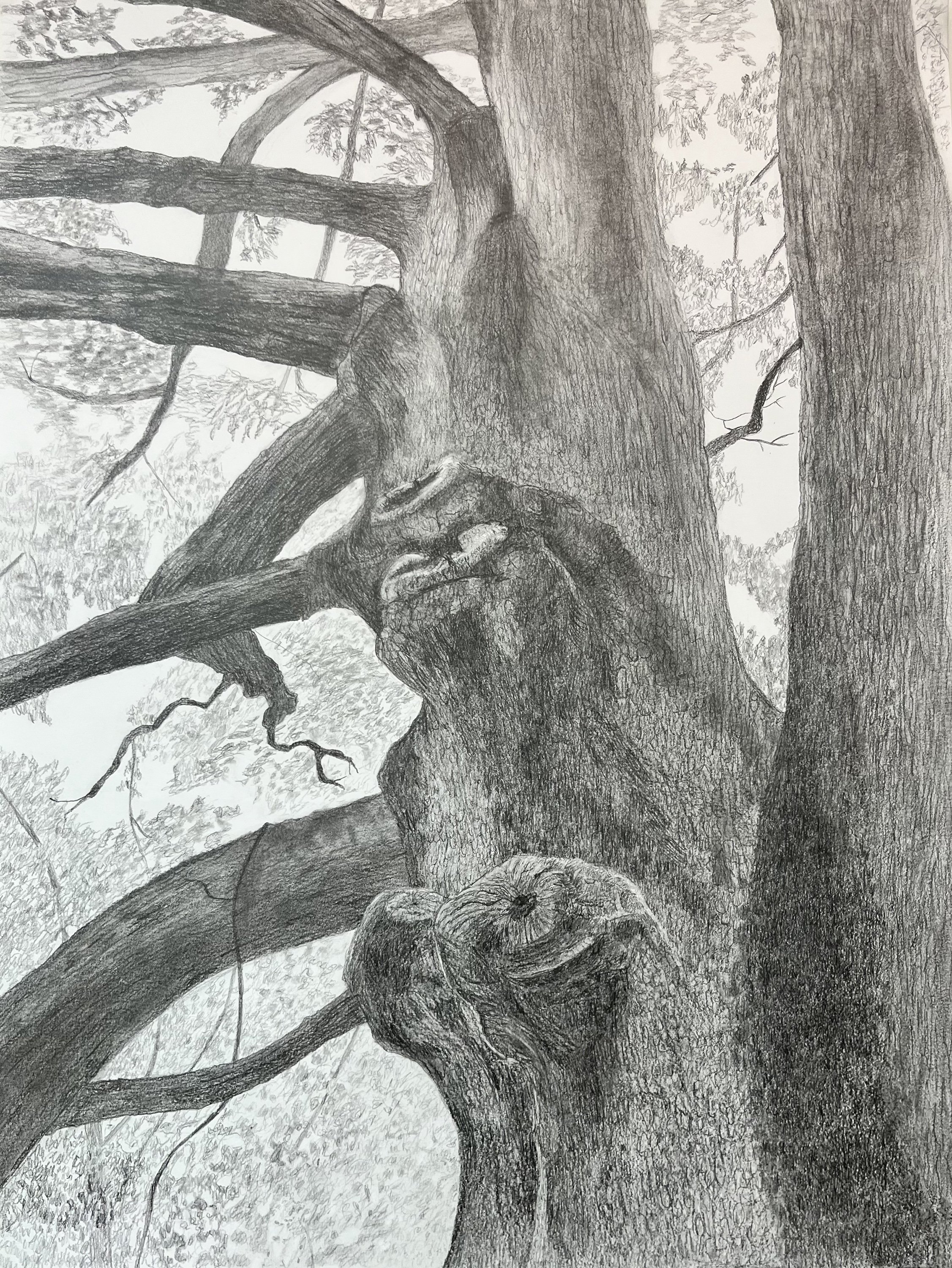 Liz Mitchell The Druid 18x24%222025.jpg